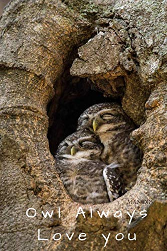 Owl Always Love you: Two baby woodland animals clearly full of love sitting in a tree. This notebook will make a great gift for kids, nature lovers, ... This lined page book can be used for a diary. Parents & Children