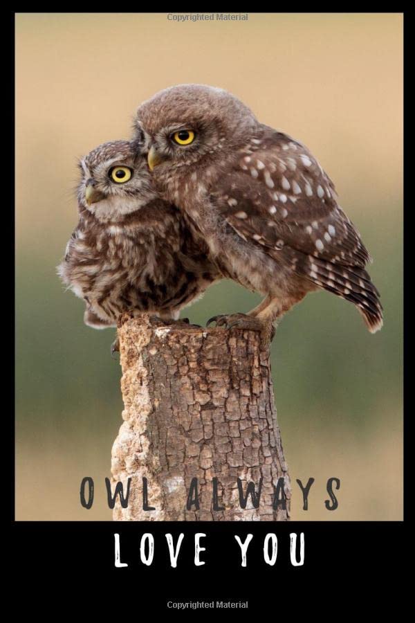 Owl Always Love You: Mommy owl with her Owlet (chick). This journal will make a great gift for nature lovers, bird lovers and owl lovers. Would be great for a Mother's Day gift too. Parents & Children