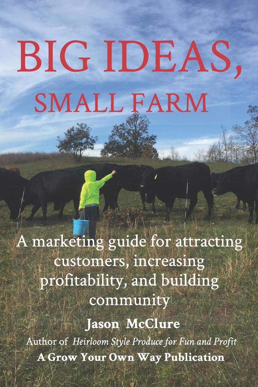Big Ideas, Small Farm: A marketing guide for attracting customers, increasing profitability, and building community. book