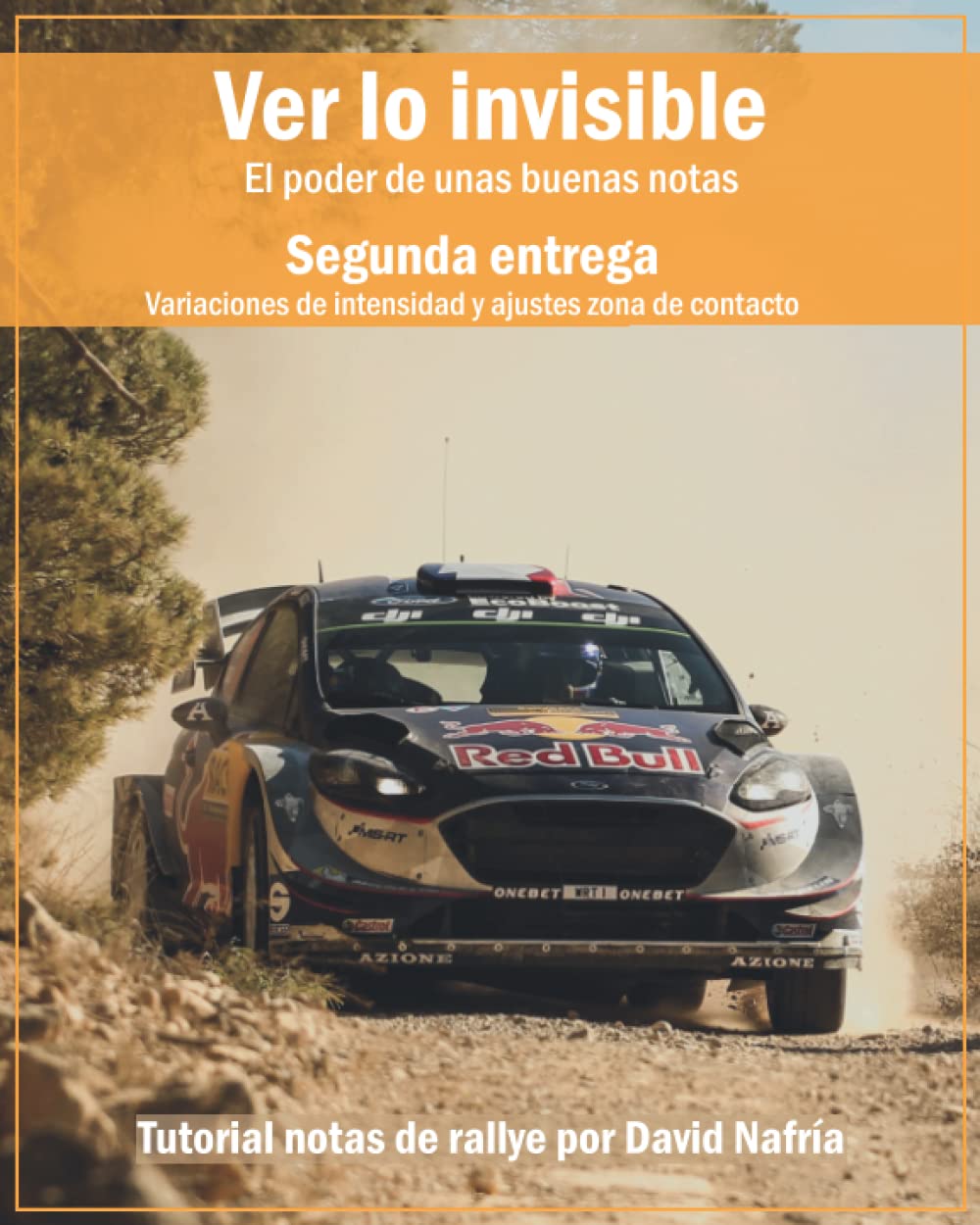Ver lo invisible. Segunda entrega: Variaciones de intensidad y ajustes zona de contacto.: El poder de unas buenas notas. Tutorial notas de rallye por David Nafría book