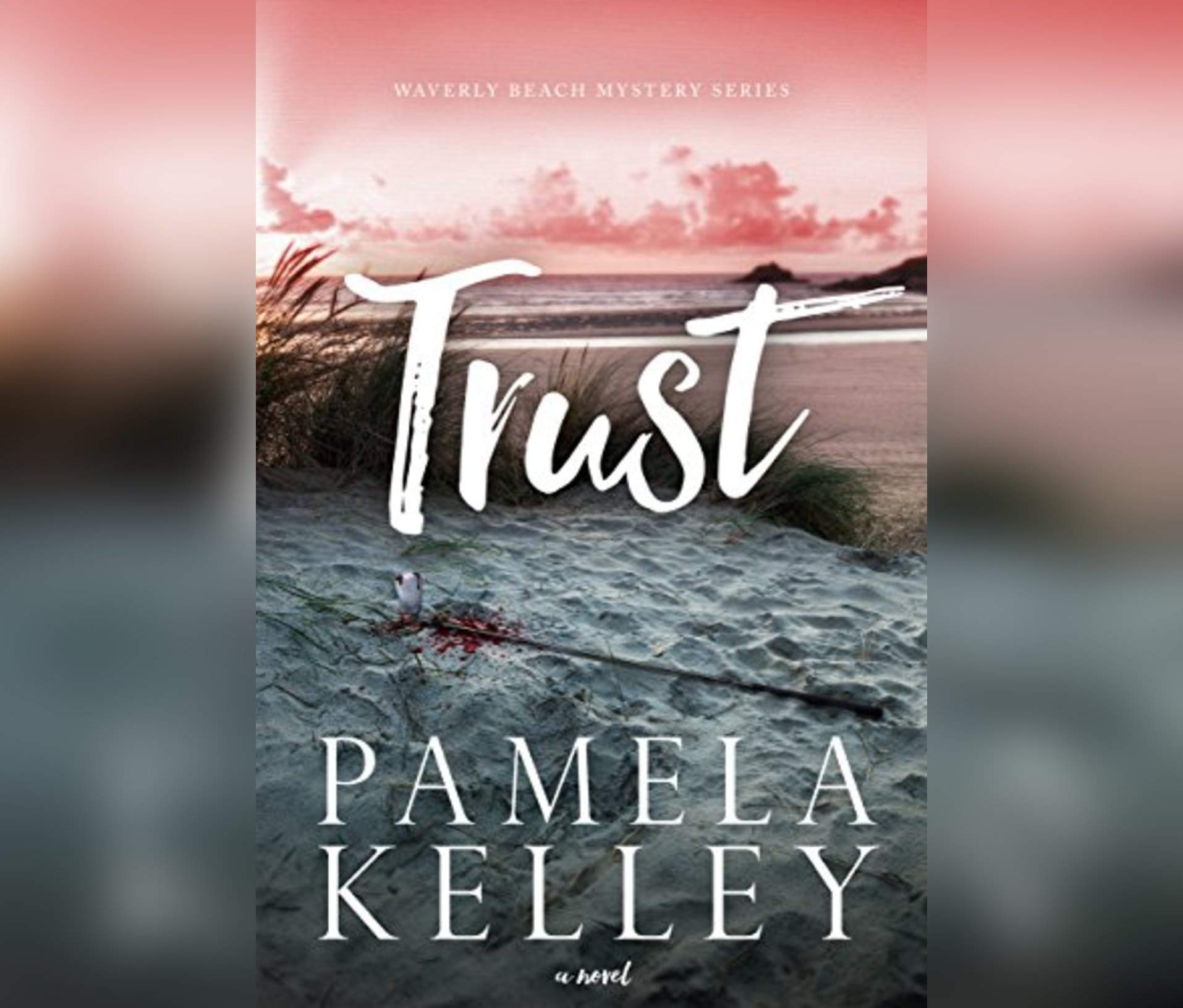 Trust: Creating the Foundation for Entrepreneurship in Developing Countries (Waverly Beach Mystery, 1) Contemporary literature