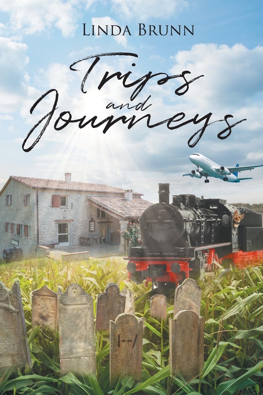 Product Image: Trips and Journeys