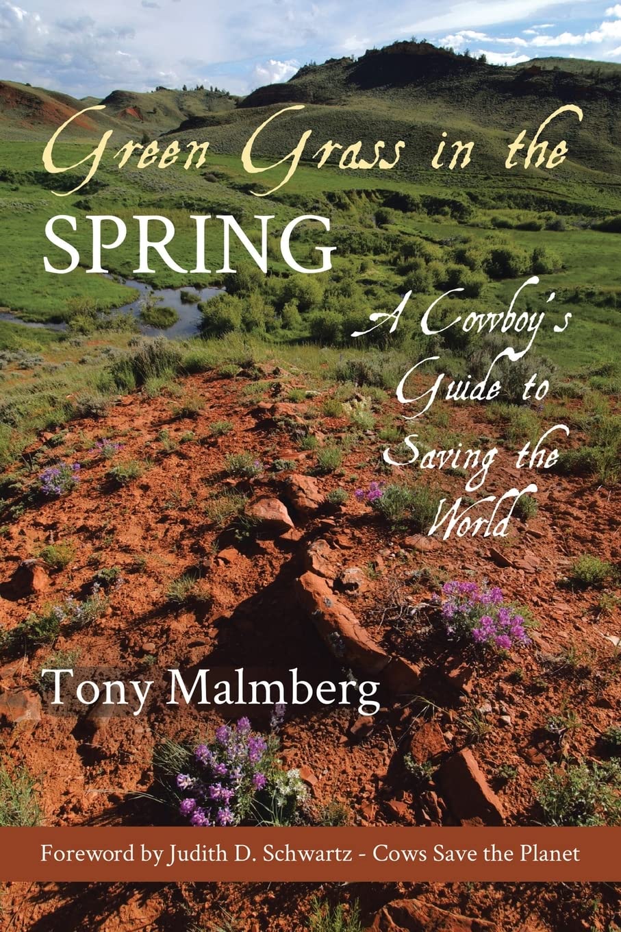 Green Grass in the Spring: A Cowboy's Guide to Saving the World Science