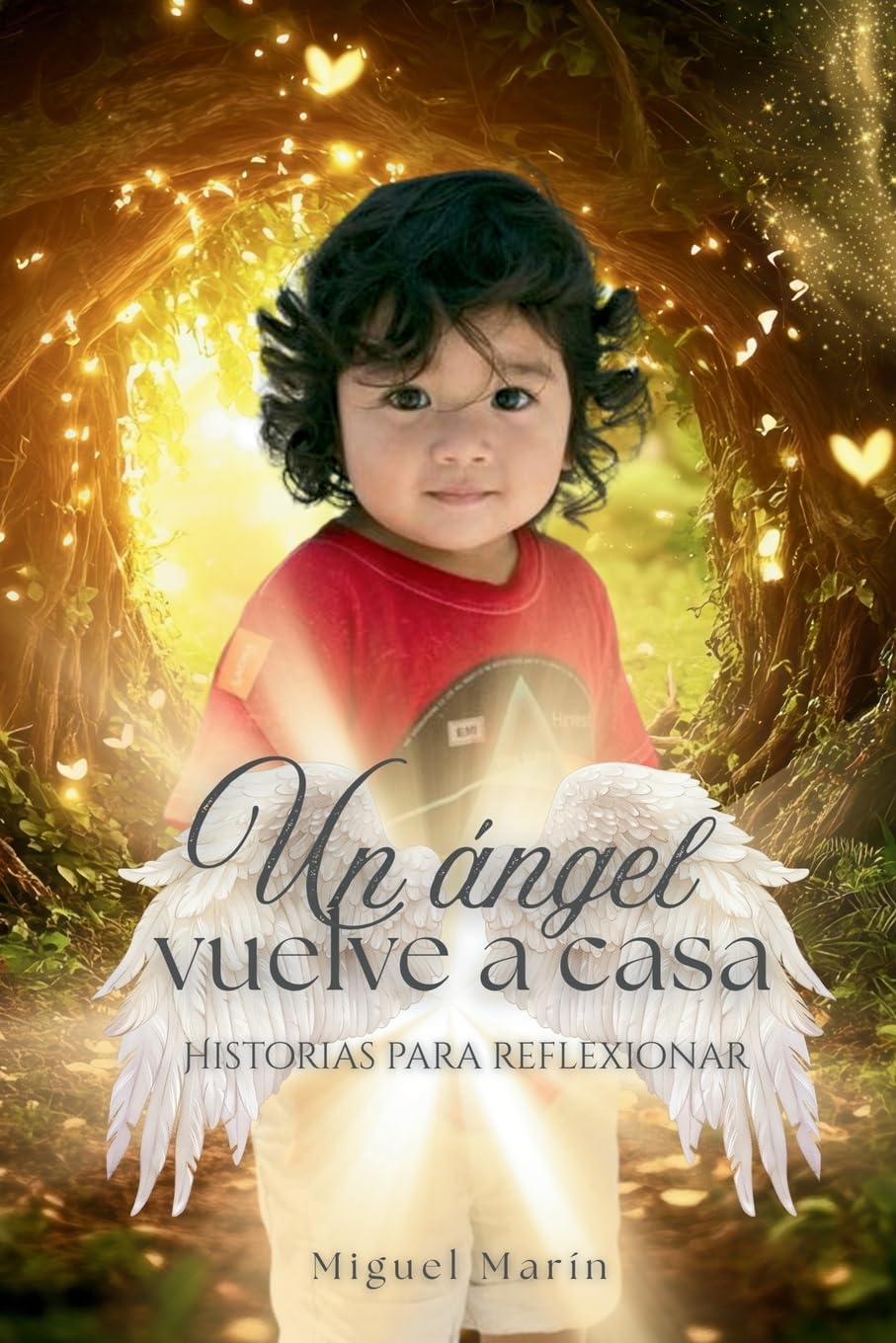 Un ángel vuelve a casa Religion & Esotericism
