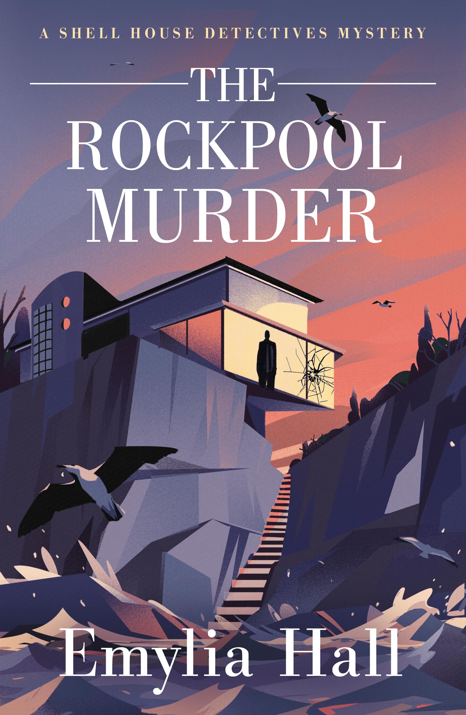The Rockpool Murder (A Shell House Detectives Mystery, Band 3) Contemporary literature