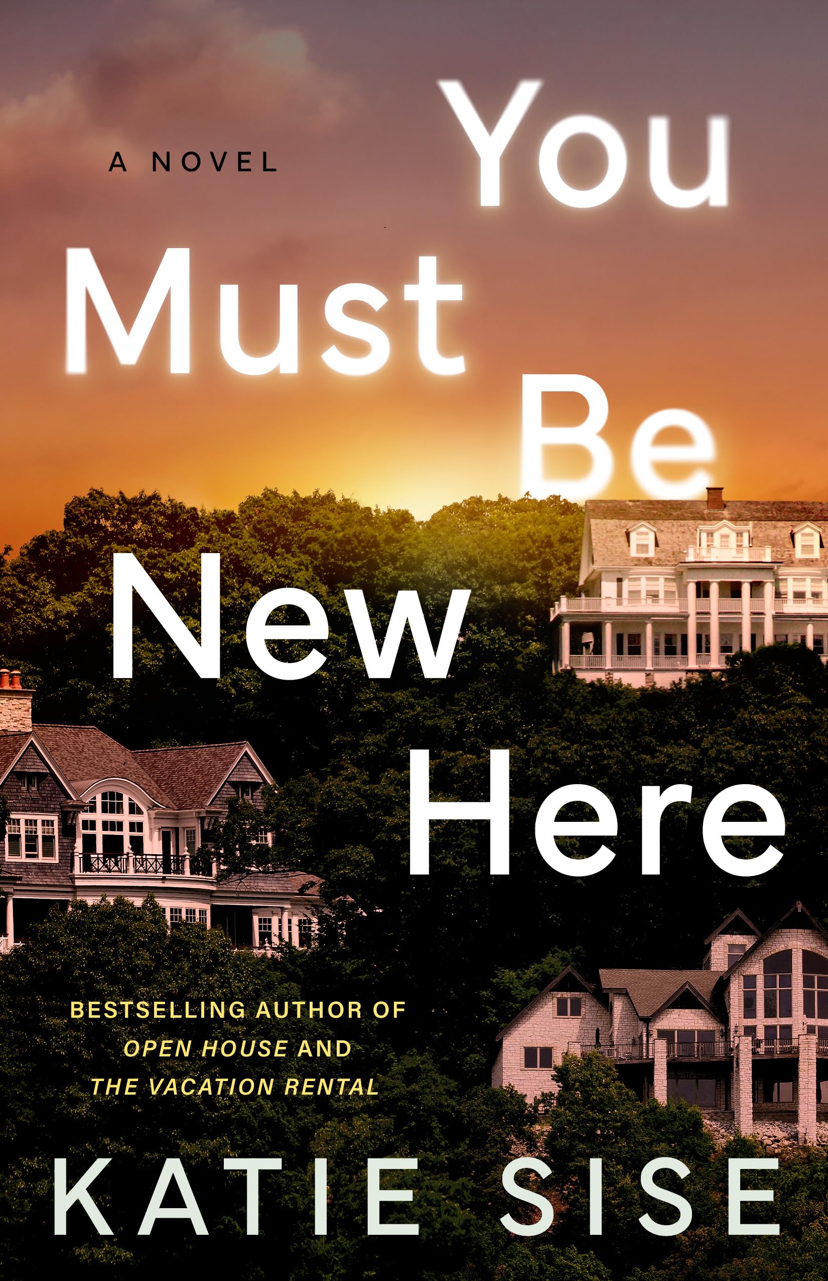 You Must Be New Here: A Novel Contemporary literature