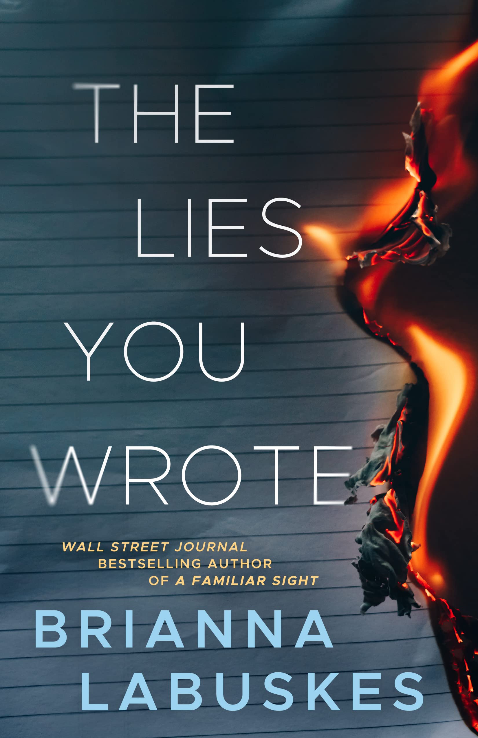 The Lies You Wrote (Raisa Susanto, Band 1) Action & Adventure