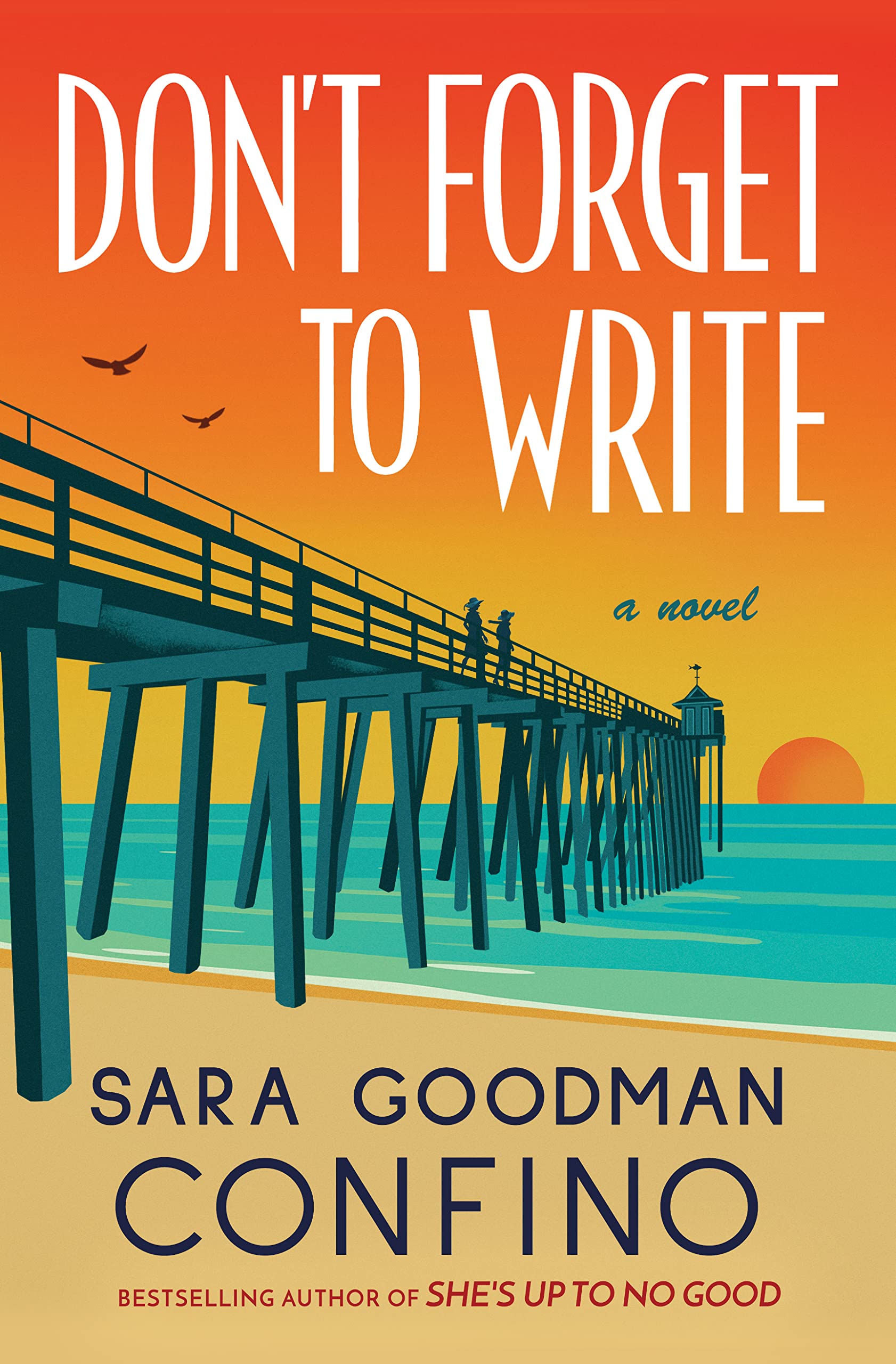 Don't Forget to Write: A Novel Humour & Satire