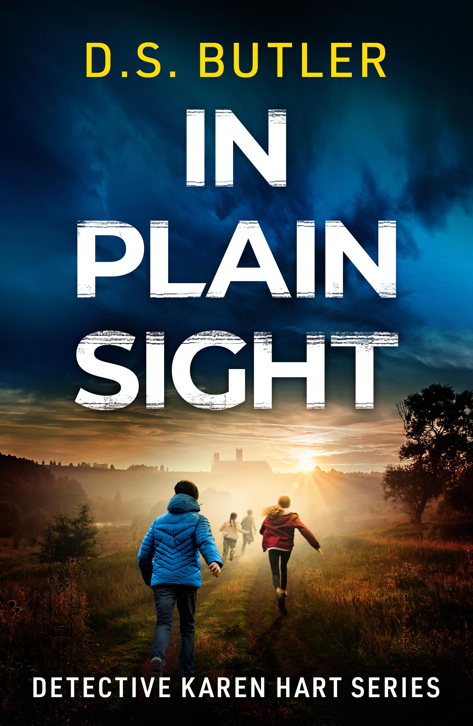 In Plain Sight (Detective Karen Hart, Band 10) Contemporary literature