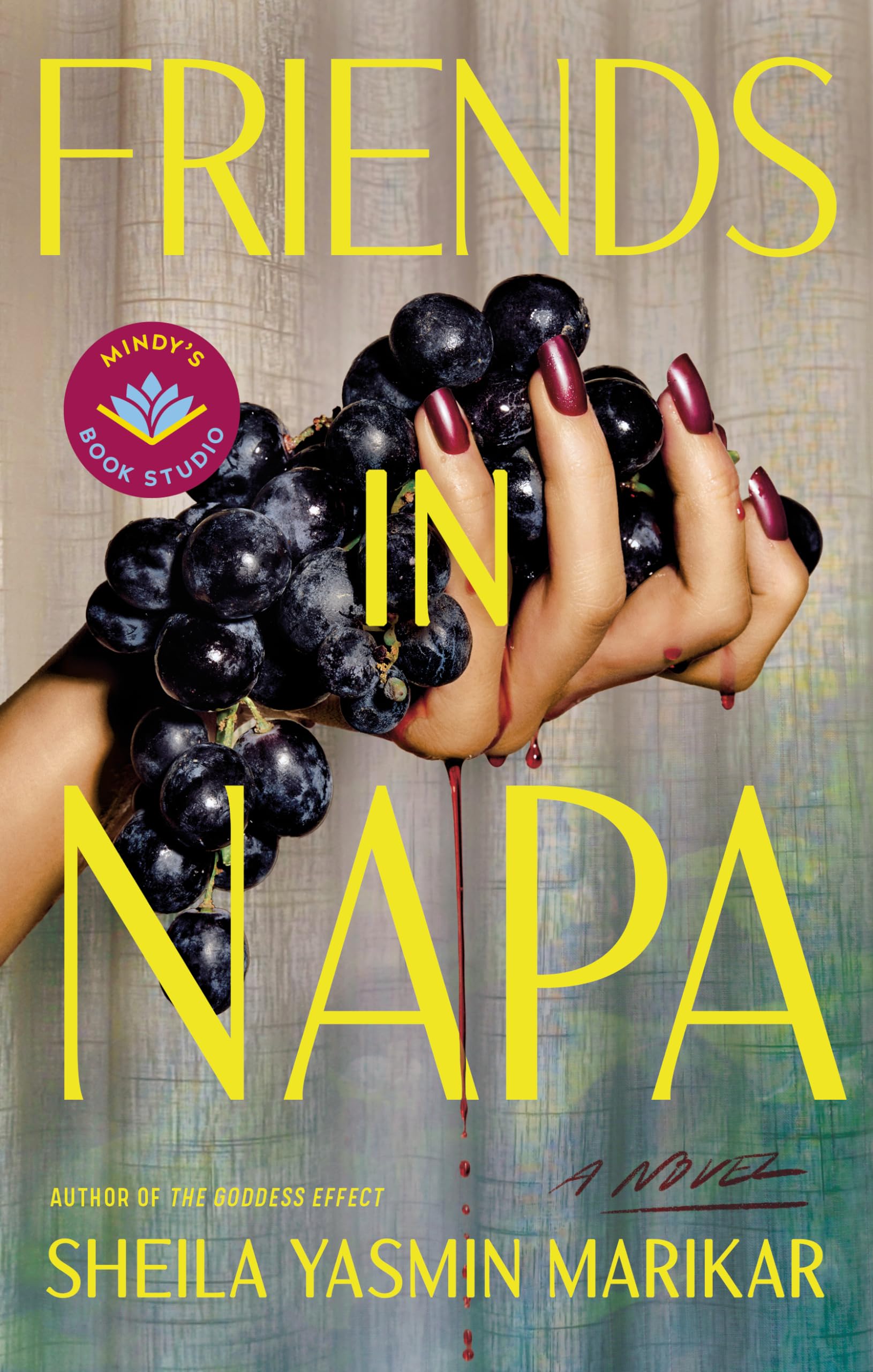 Friends in Napa: A Novel Contemporary literature