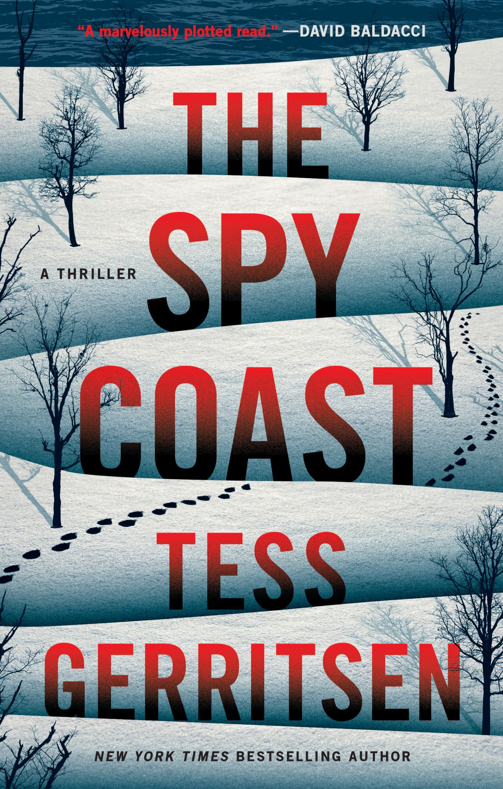 Product Image: The Spy Coast