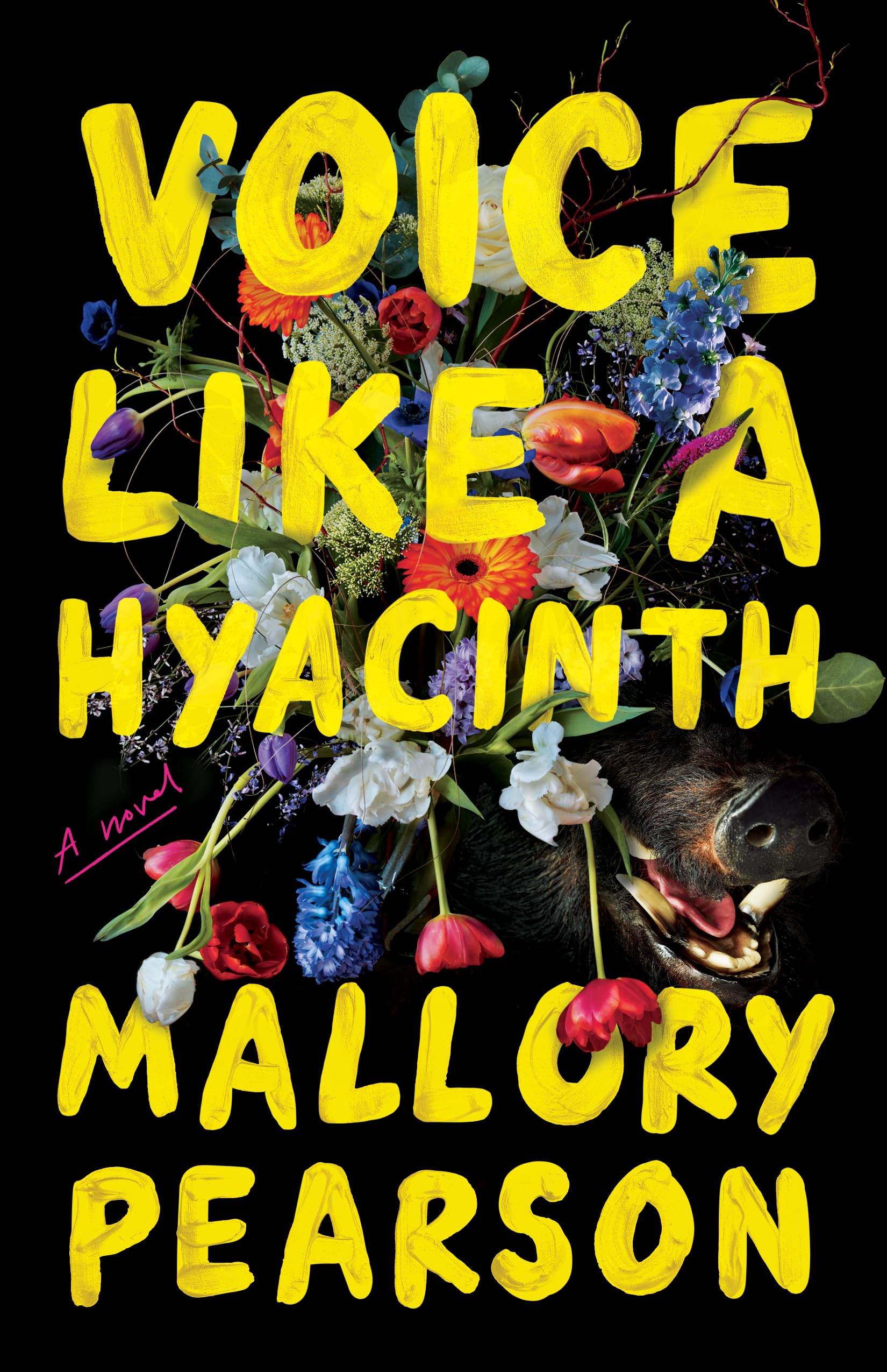 Voice Like a Hyacinth Dark Fantasy Books