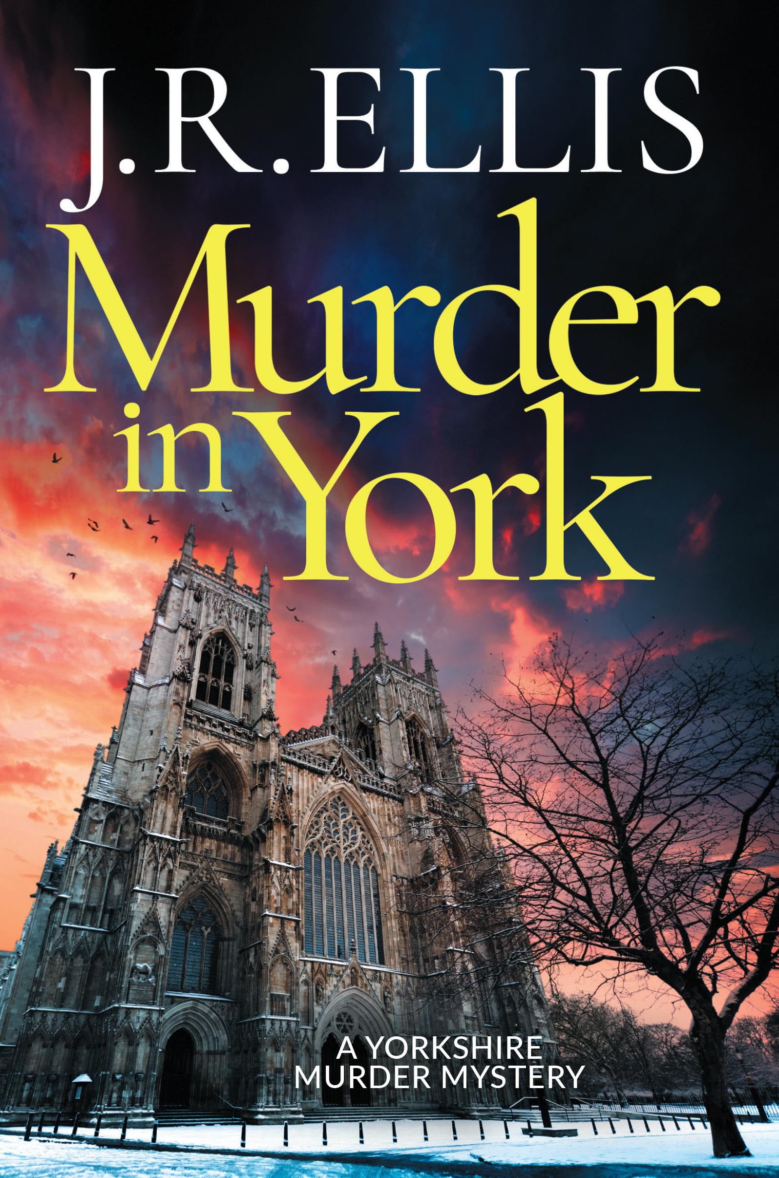 Murder in York (A Yorkshire Murder Mystery, Band 12) Action & Adventure
