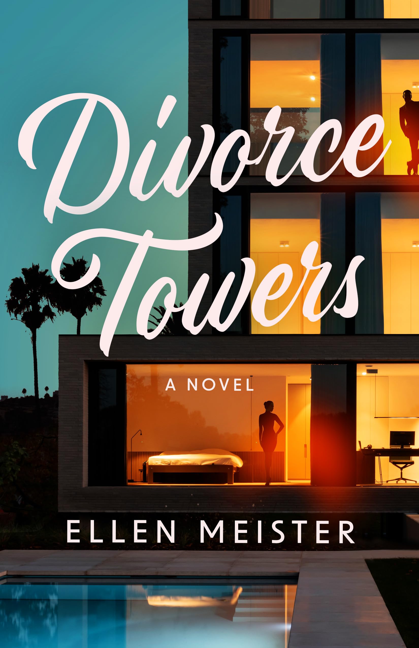 Divorce Towers: A Novel Contemporary literature
