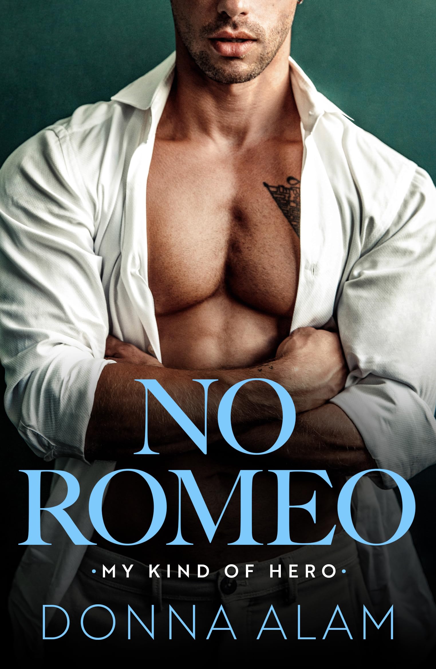 No Romeo (My Kind of Hero, Band 1) Contemporary literature
