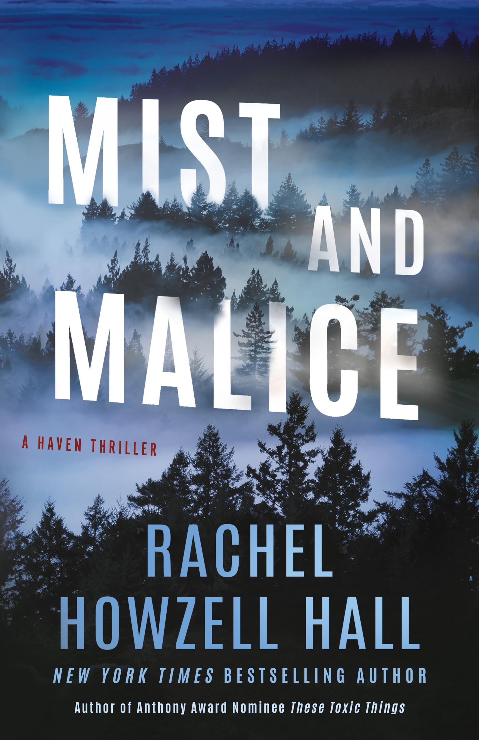 Mist and Malice (Haven Thrillers, Band 2) Contemporary literature