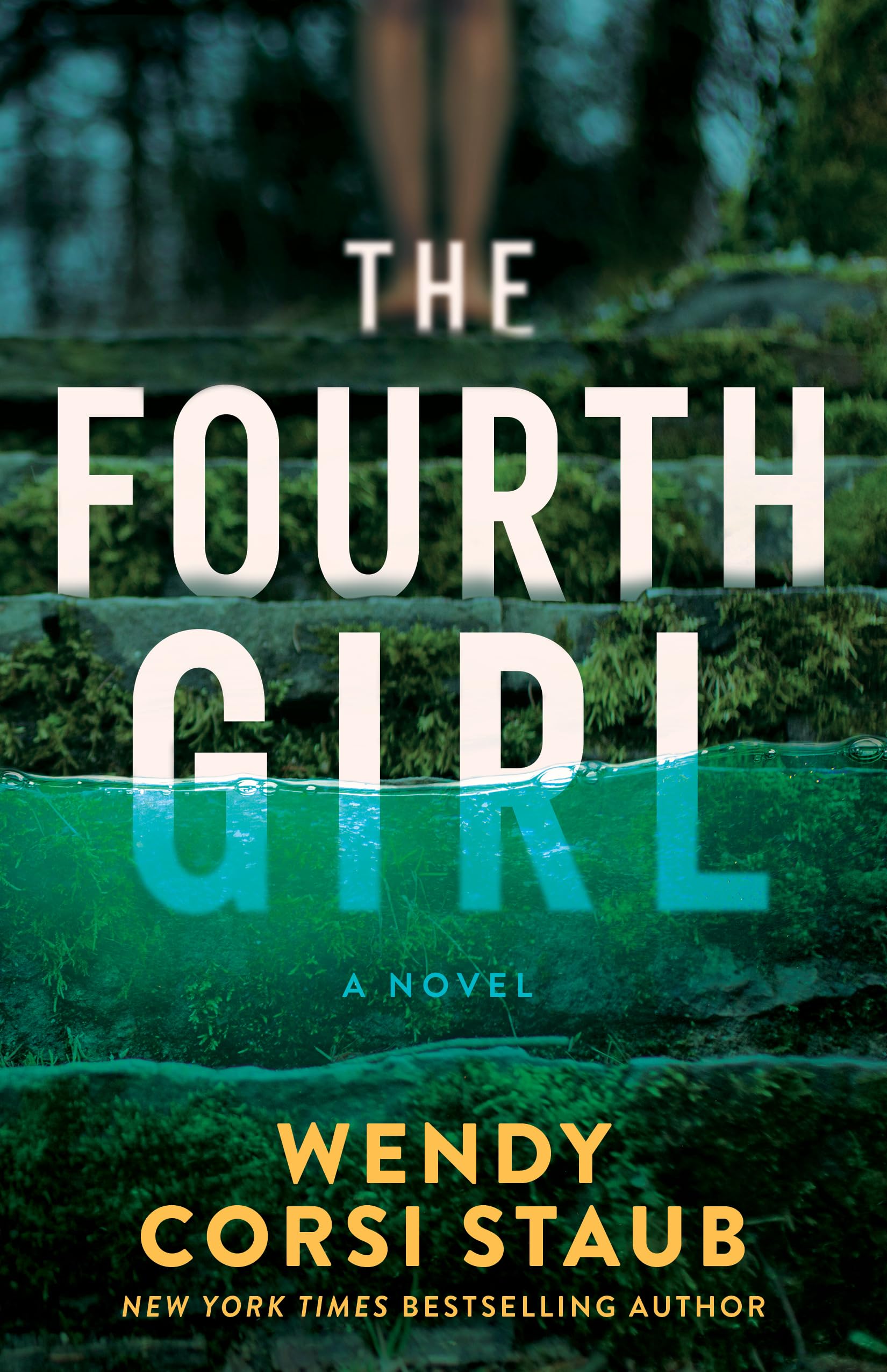 The Fourth Girl: A Novel (Haven Cliff, Band 1) Action & Adventure