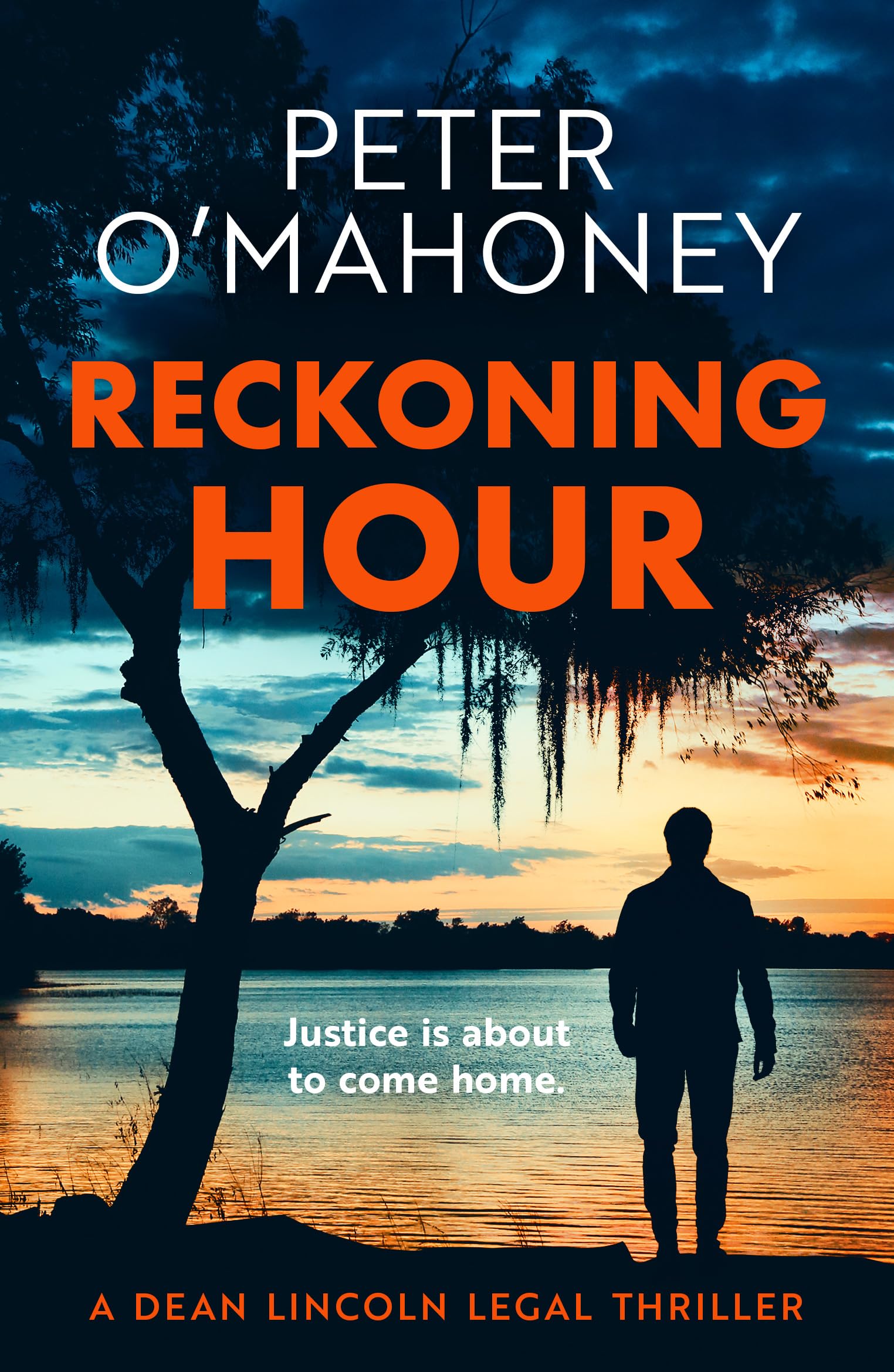 Reckoning Hour (Dean Lincoln Legal Thriller, Band 1) Contemporary literature