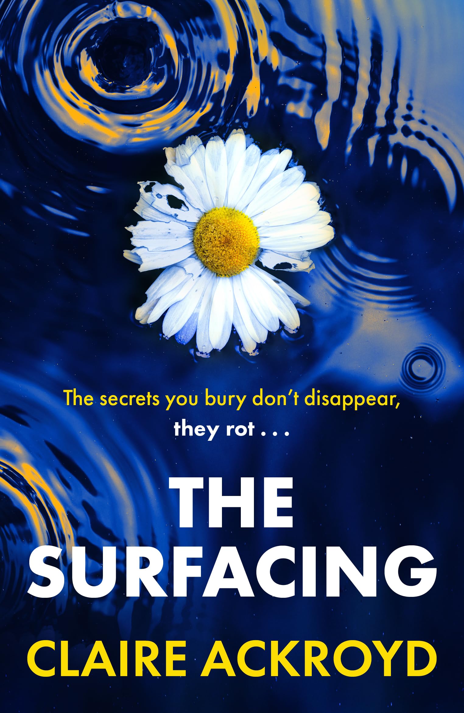 The Surfacing Contemporary literature Books