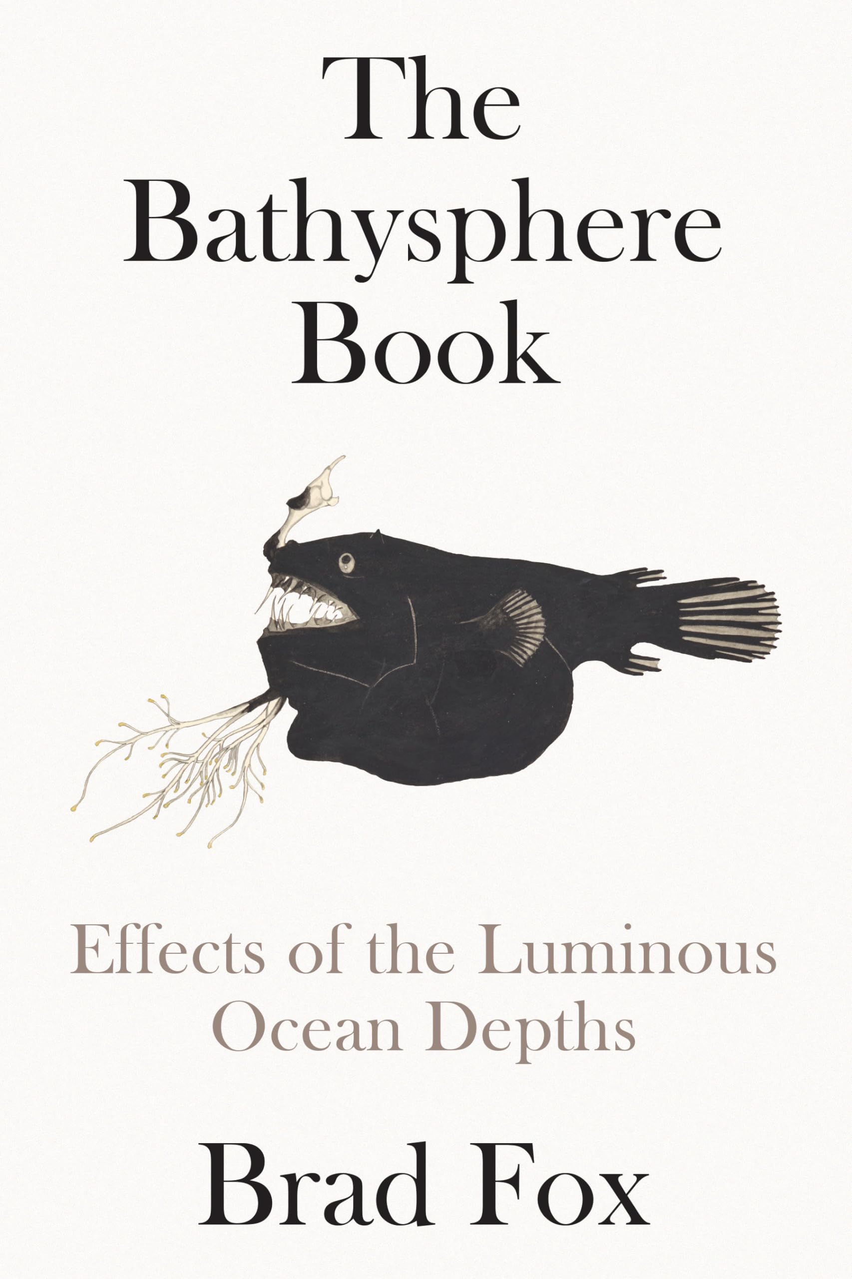 The Bathysphere Book: Effects of the Luminous Ocean Depths Politics & Society