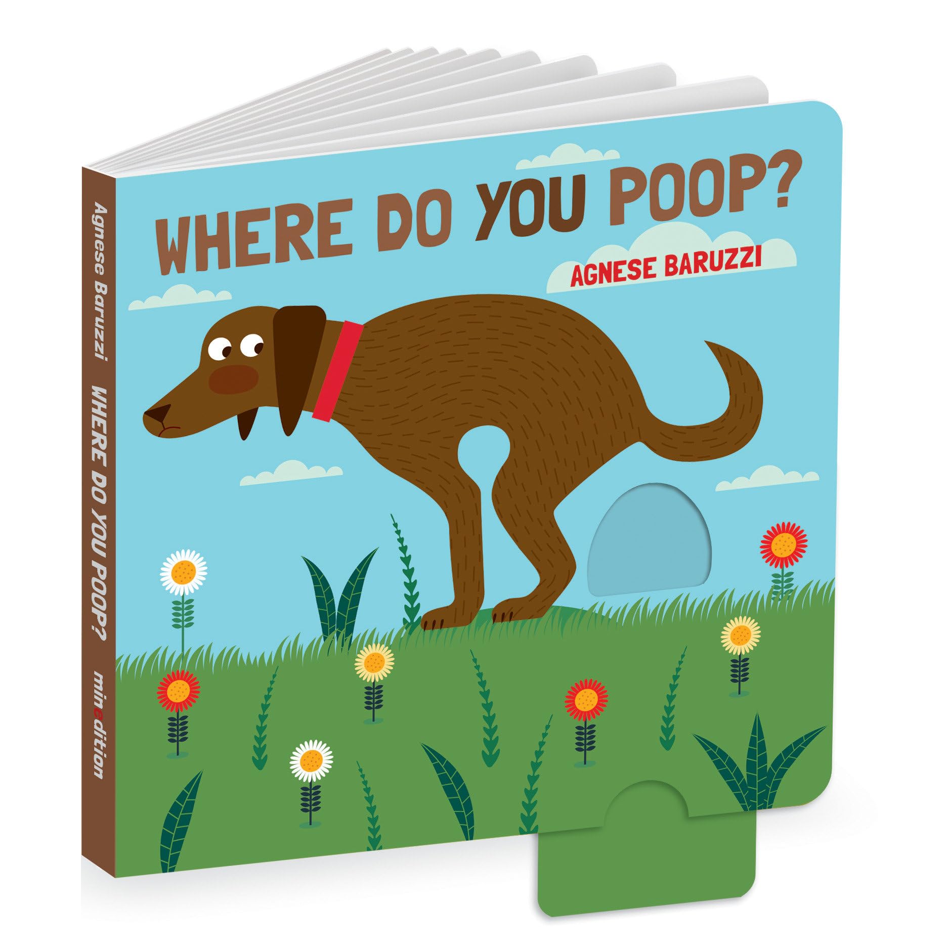 Where Do You Poop? A potty training board book Business & Technology