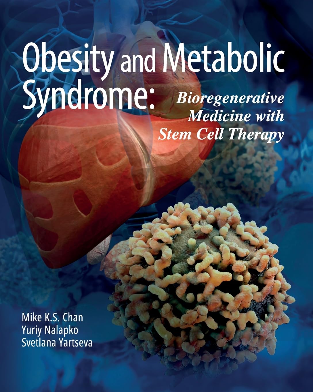 Obesity and Metabolic Syndrome Medicine