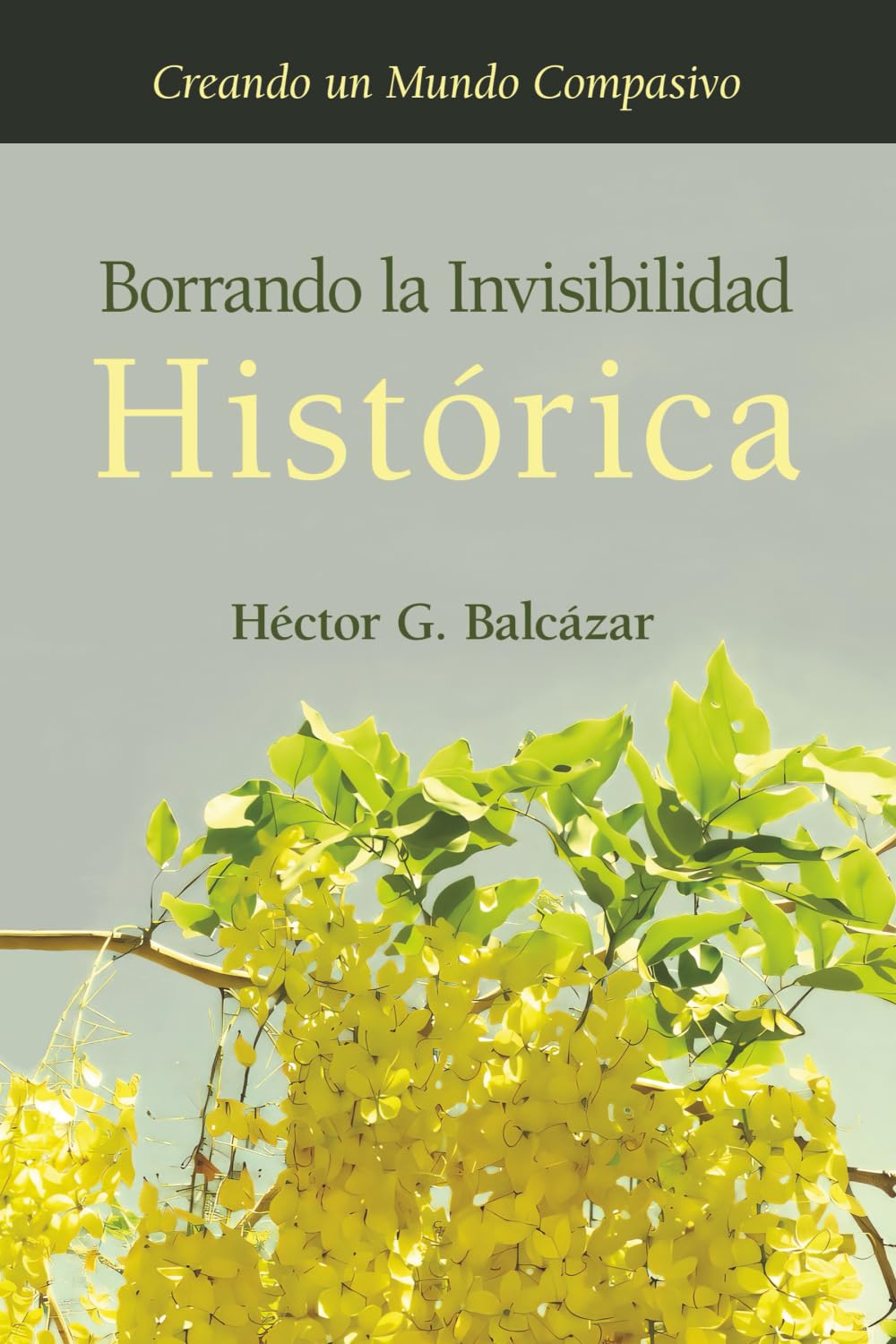 Borrando la Invisibilidad Histórica Social Sciences