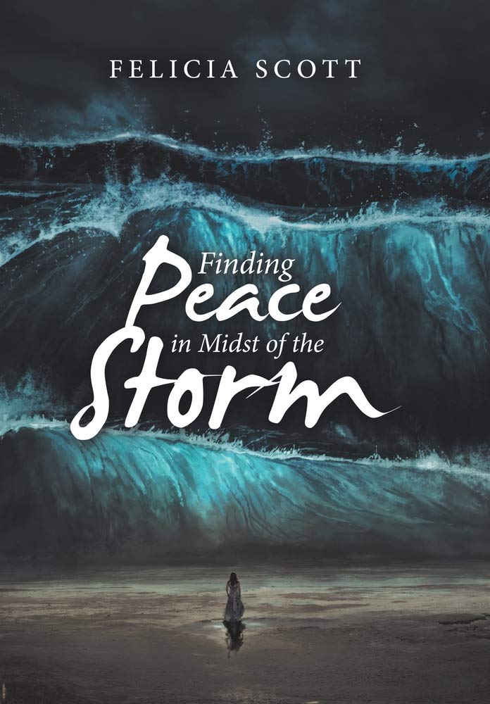 Finding Peace in Midst of the Storm book
