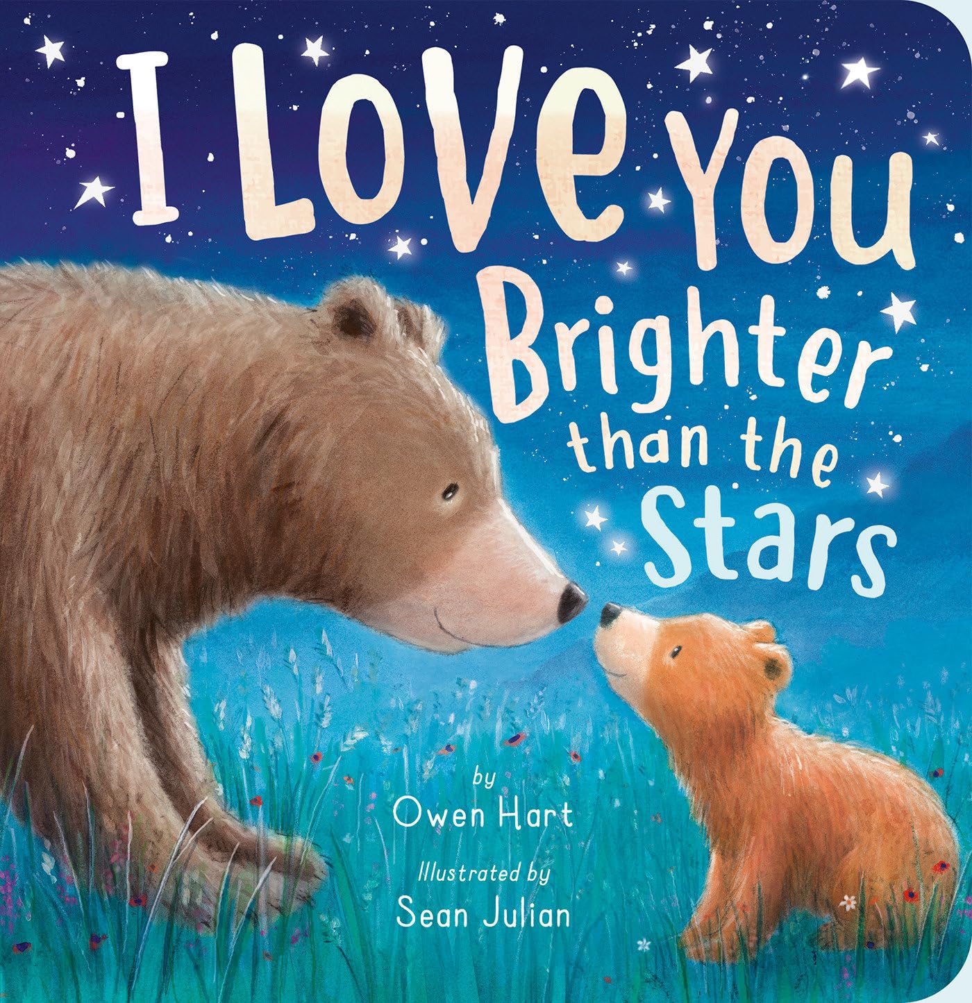 I Love You Brighter than the Stars book