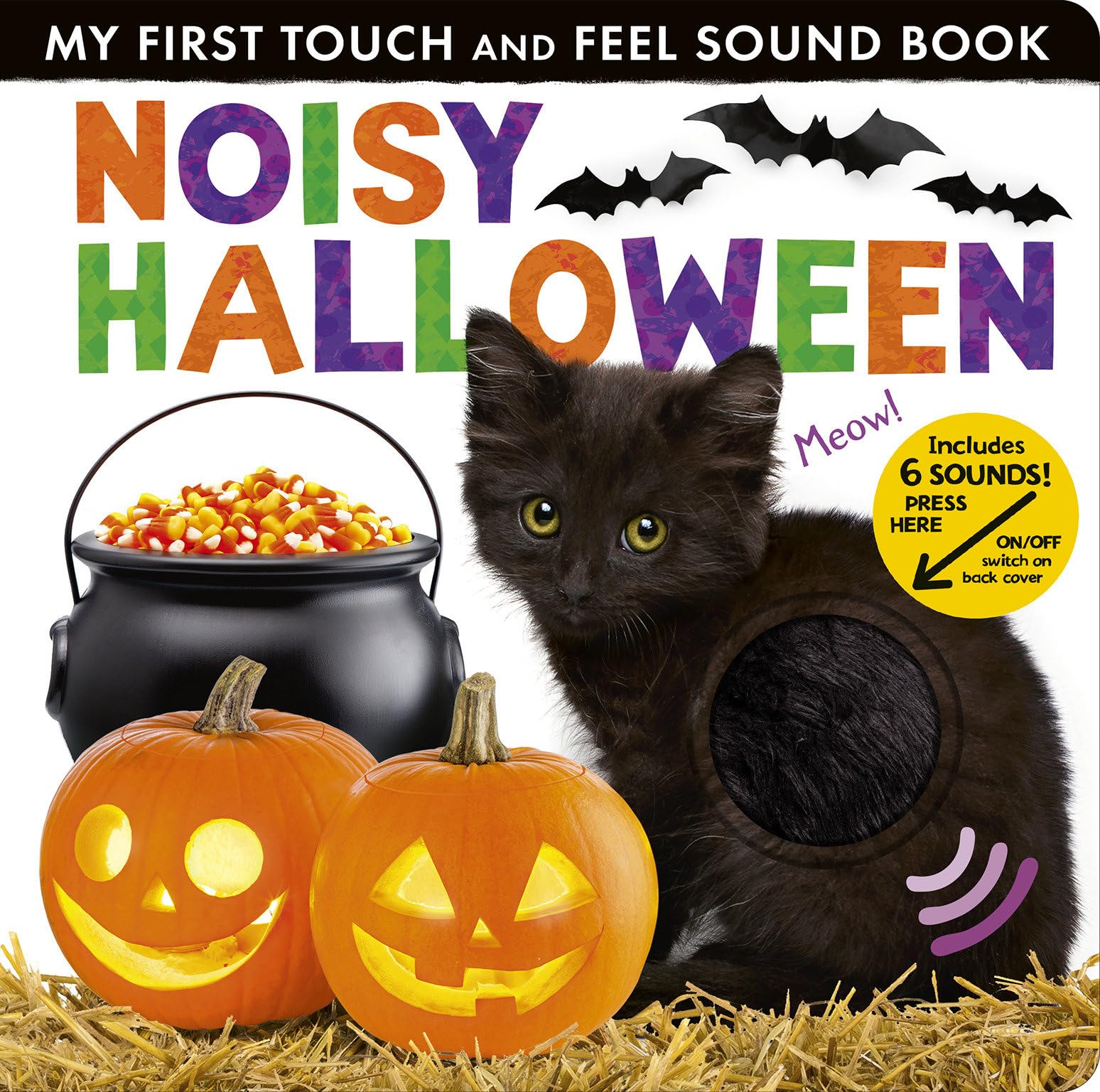 Noisy Halloween: My First Touch and Feel Sound Book Parents & Children