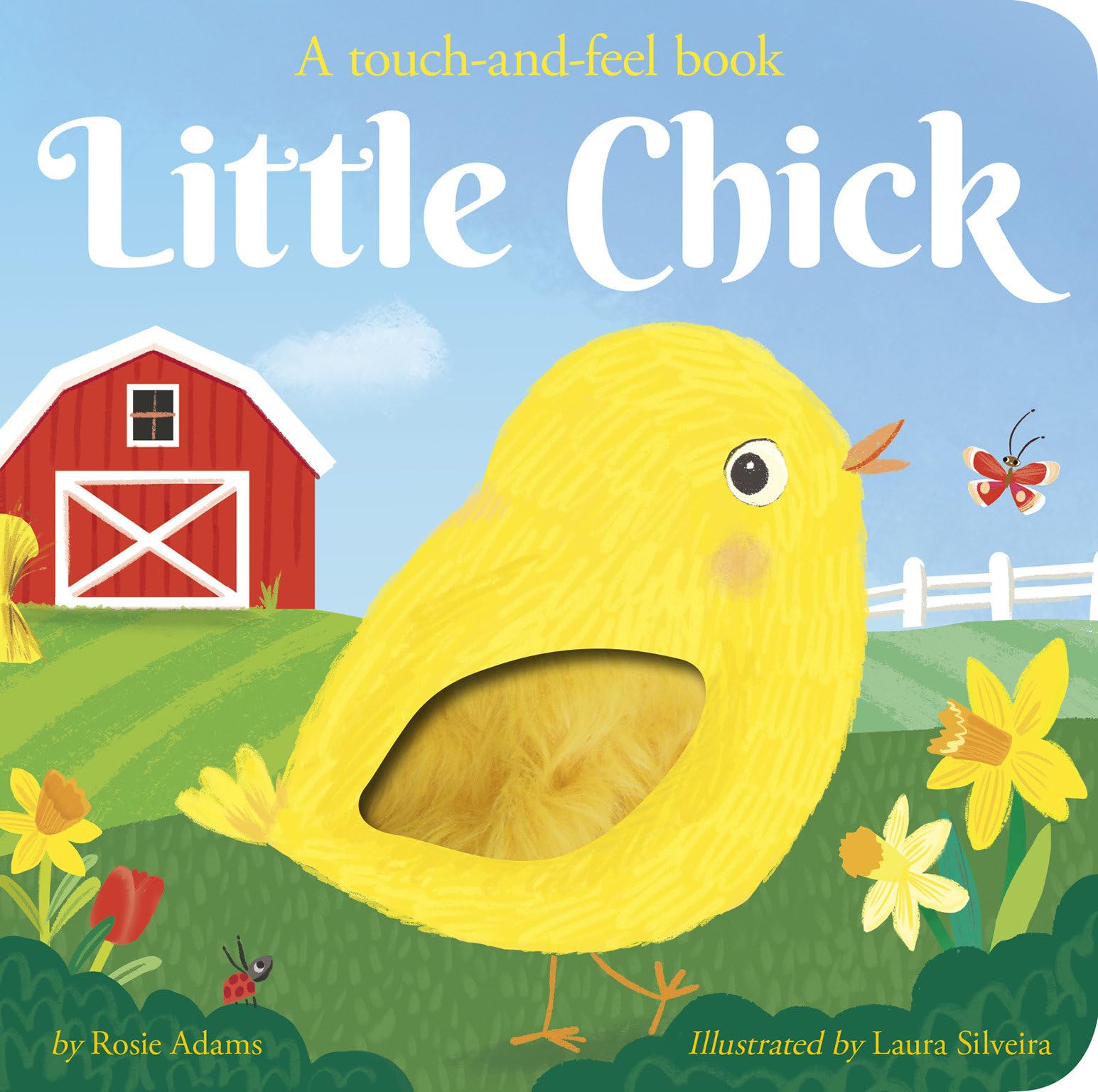 Little Chick Non-fiction