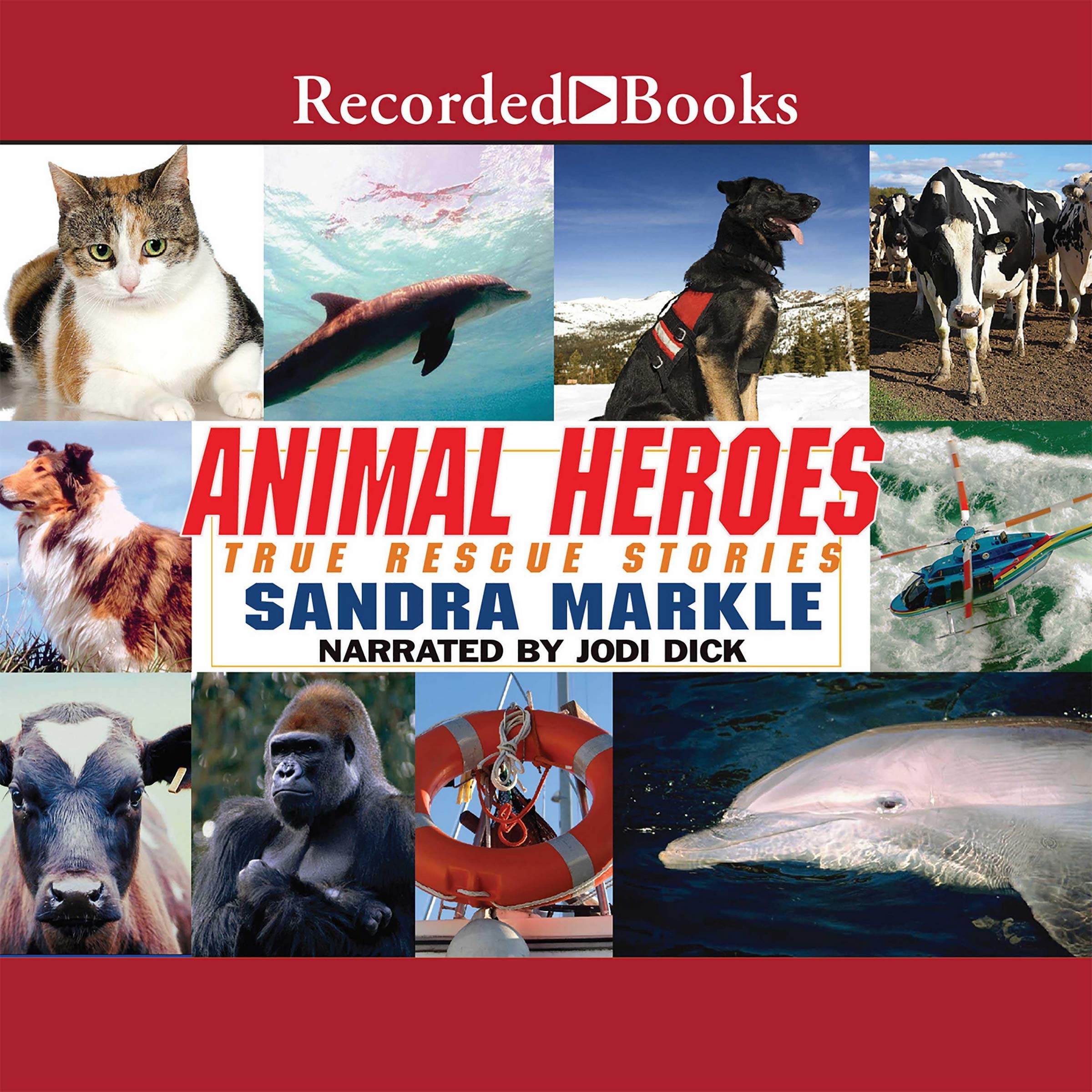 Animal Heroes: True Rescue Stories: True Rescue Stories Children's books