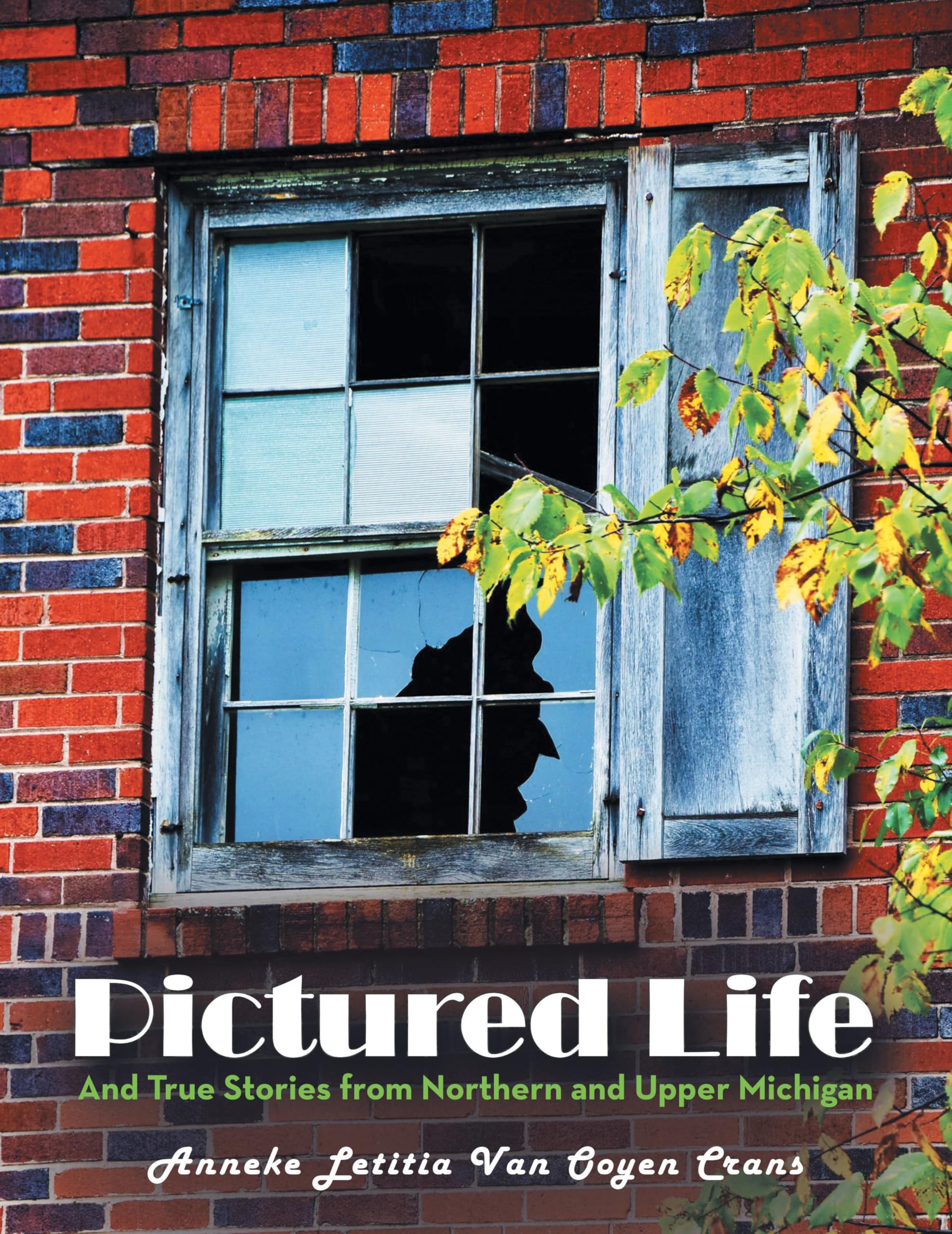 Pictured Life: And True Stories from Northern and Upper Michigan Memories