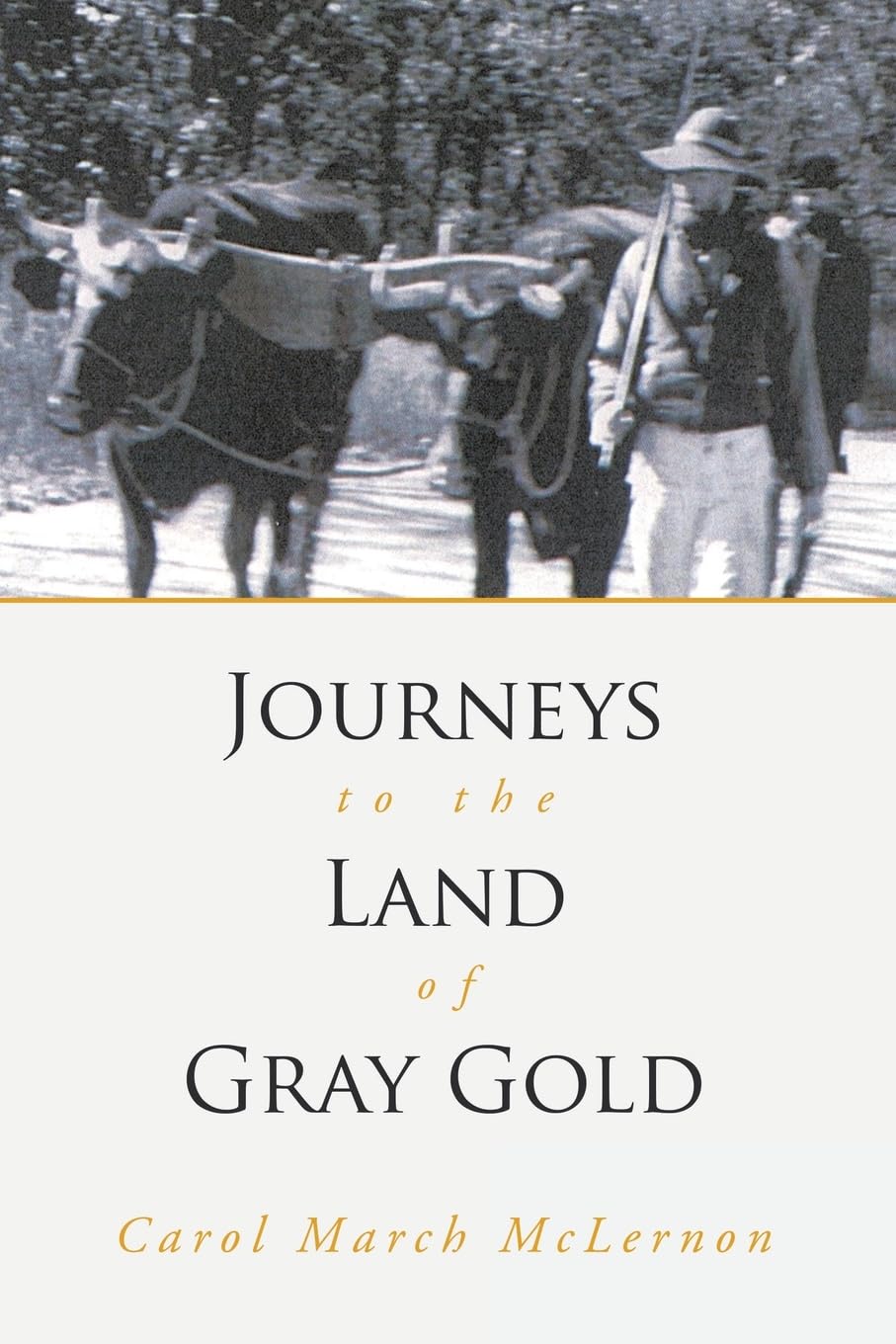 Journeys to the Land of Gray Gold Books