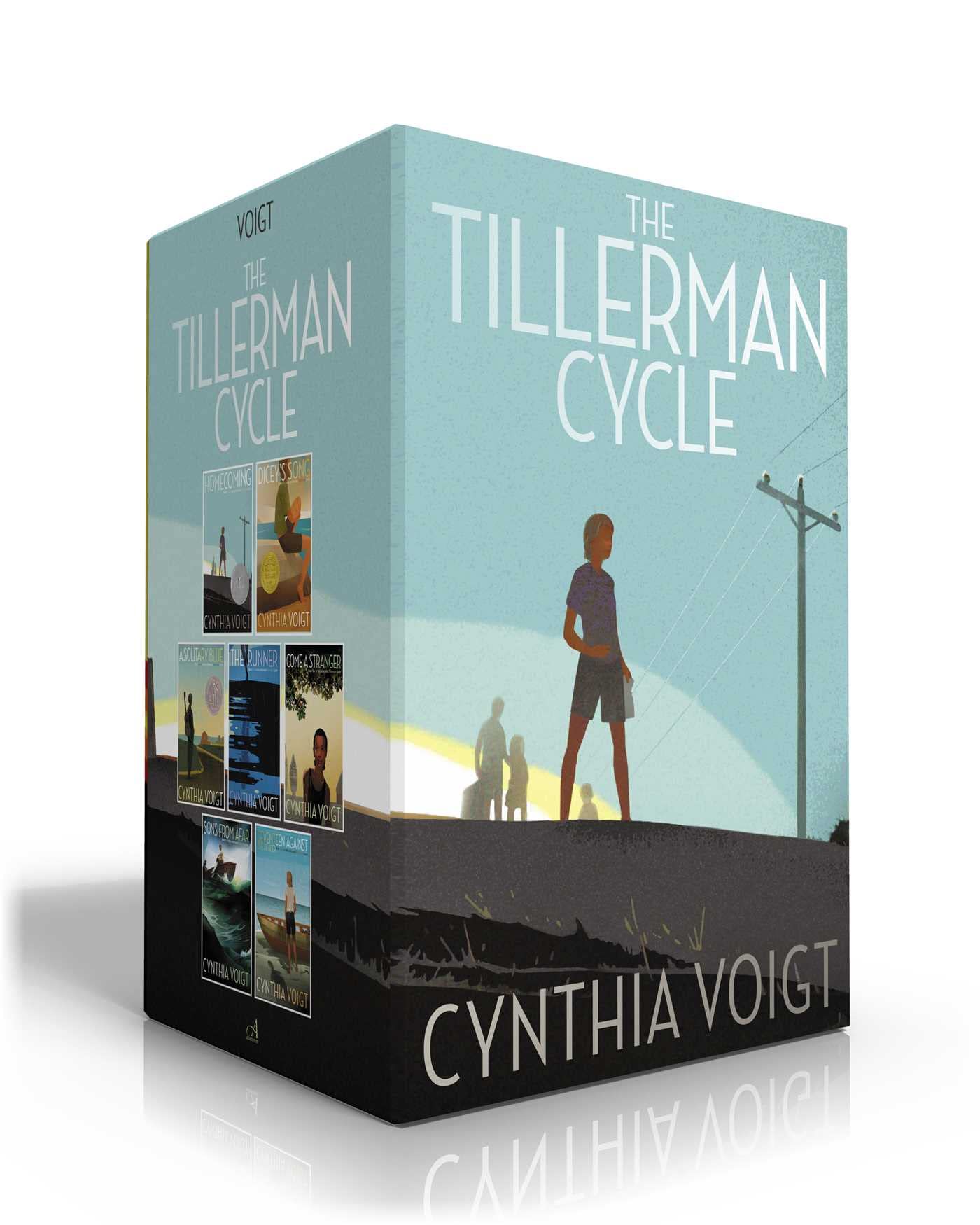 The Tillerman Cycle (Boxed Set): Homecoming; Dicey's Song; A Solitary Blue; The Runner; Come a Stranger; Sons from Afar; Seventeen Against the Dealer Fiction