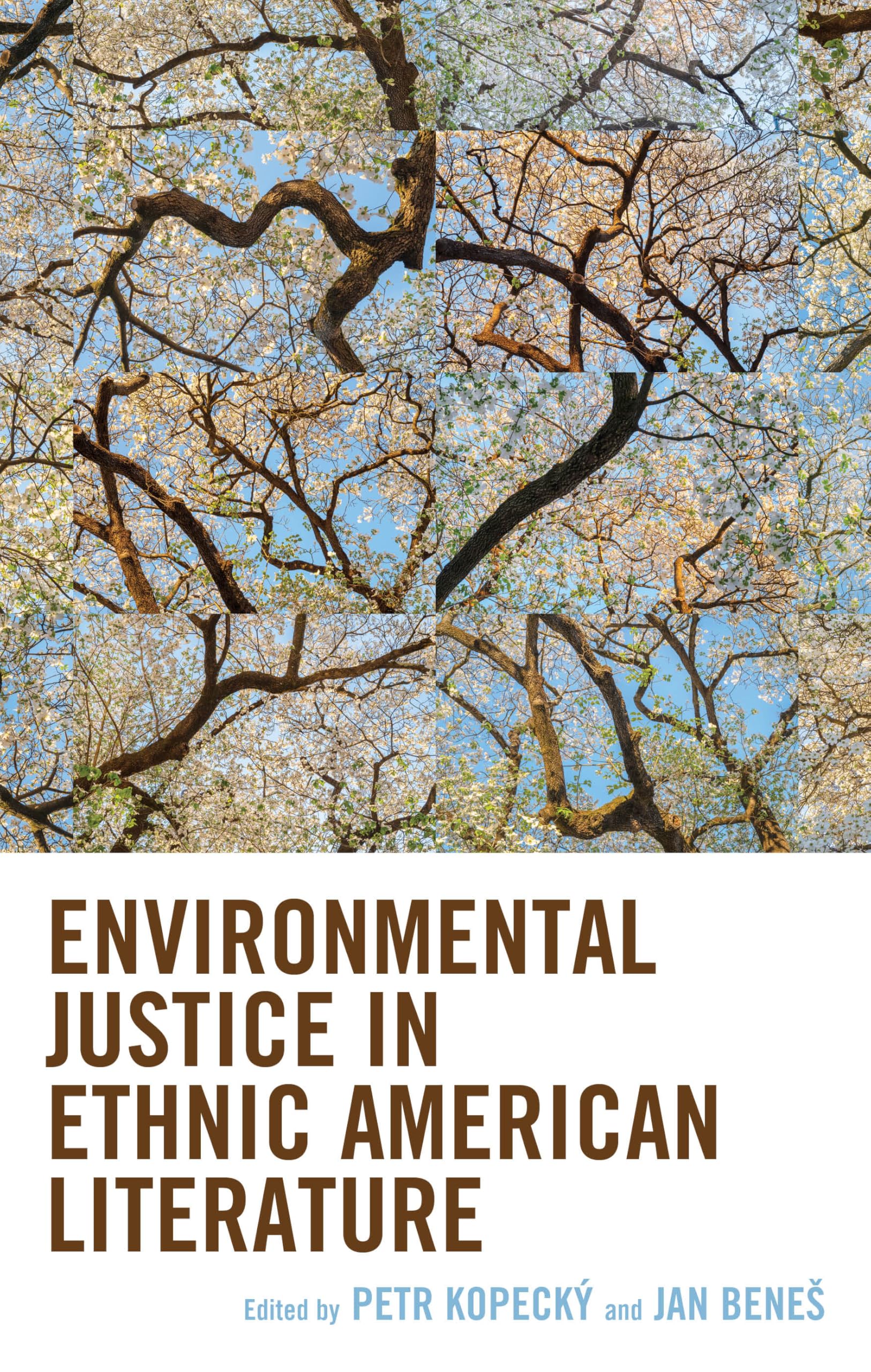 Environmental Justice in Ethnic American Literature Social Sciences