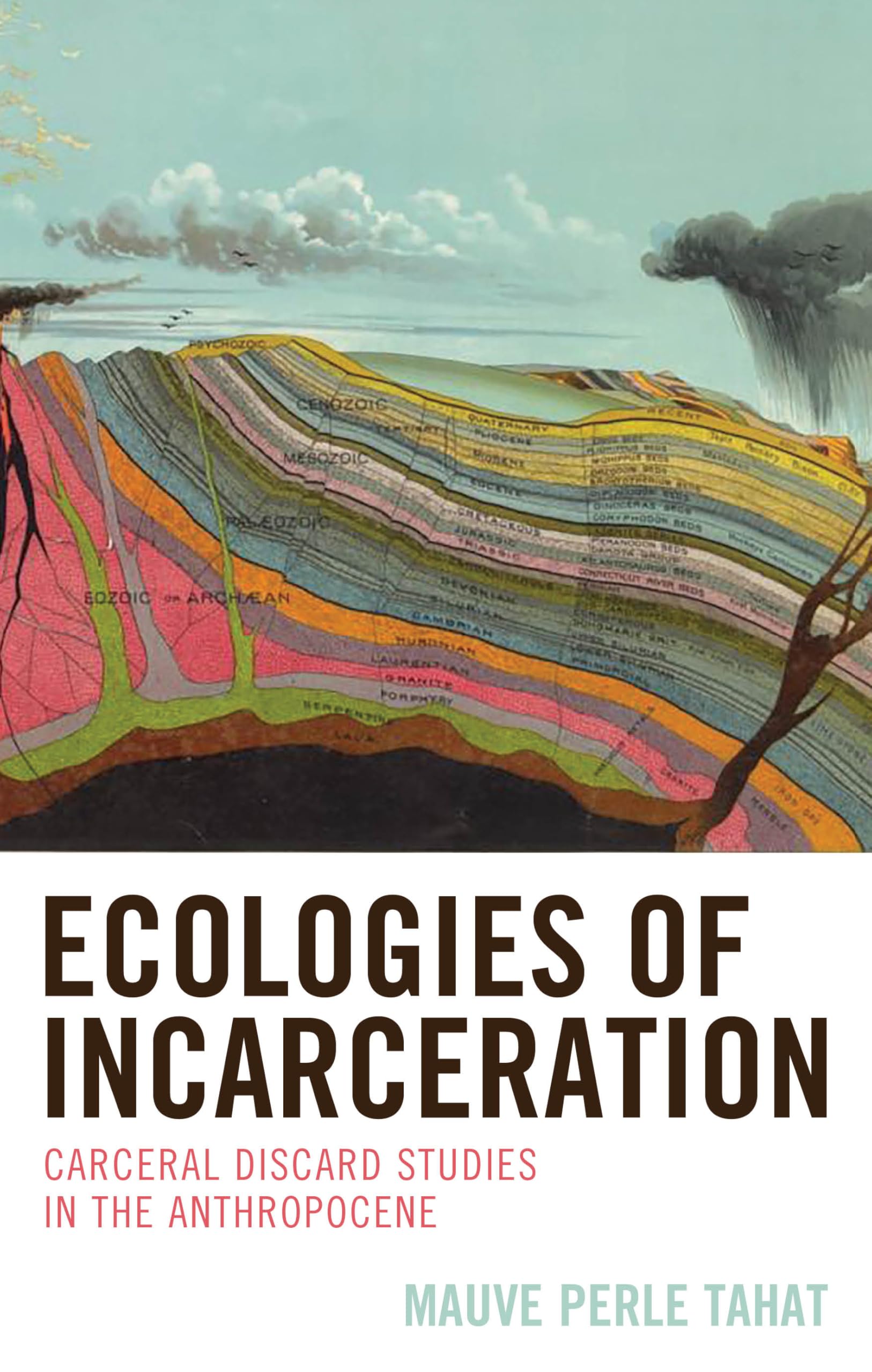 Ecologies of Incarceration Law