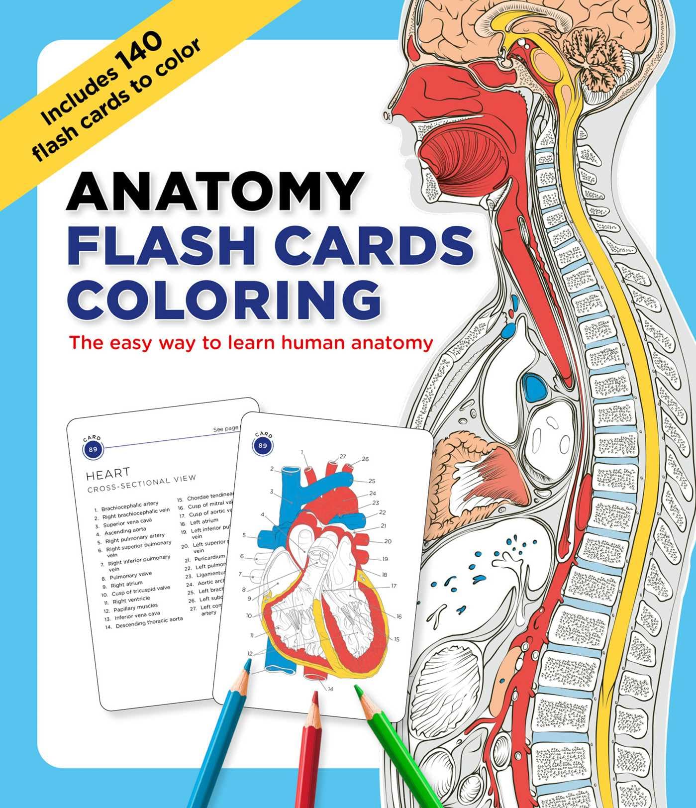 Anatomy Flash Cards Coloring: The Easy Way to Learn Human Anatomy Hobbies & Crafts