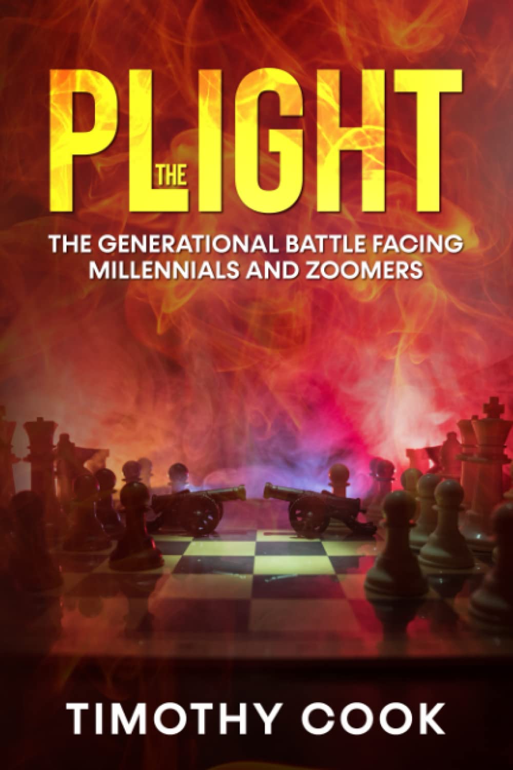 The Plight: The Generational Battle Facing Millennials and Zoomers Business, Finance & Career
