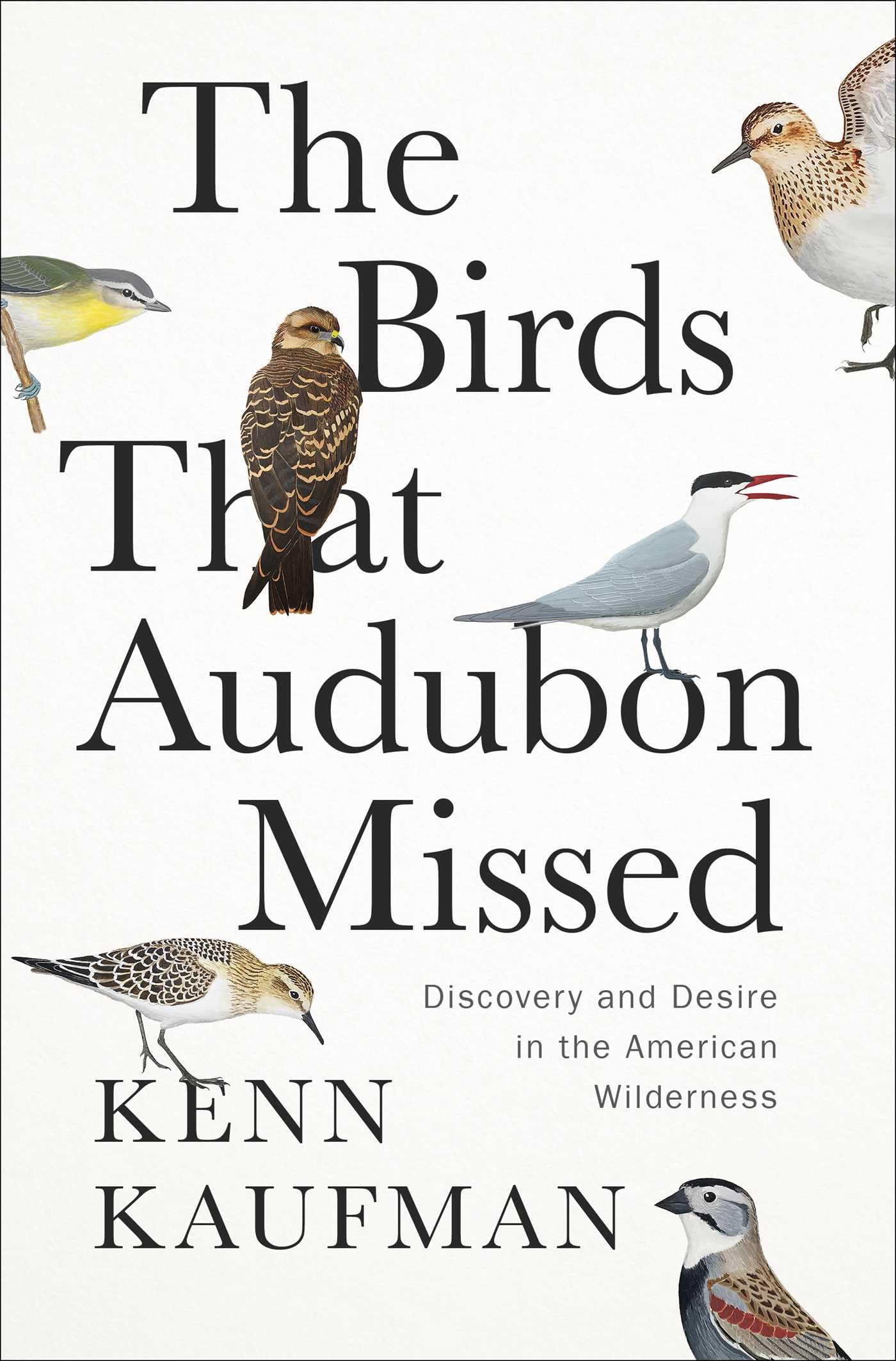 The Birds That Audubon Missed: Discovery and Desire in the American Wilderness Memories
