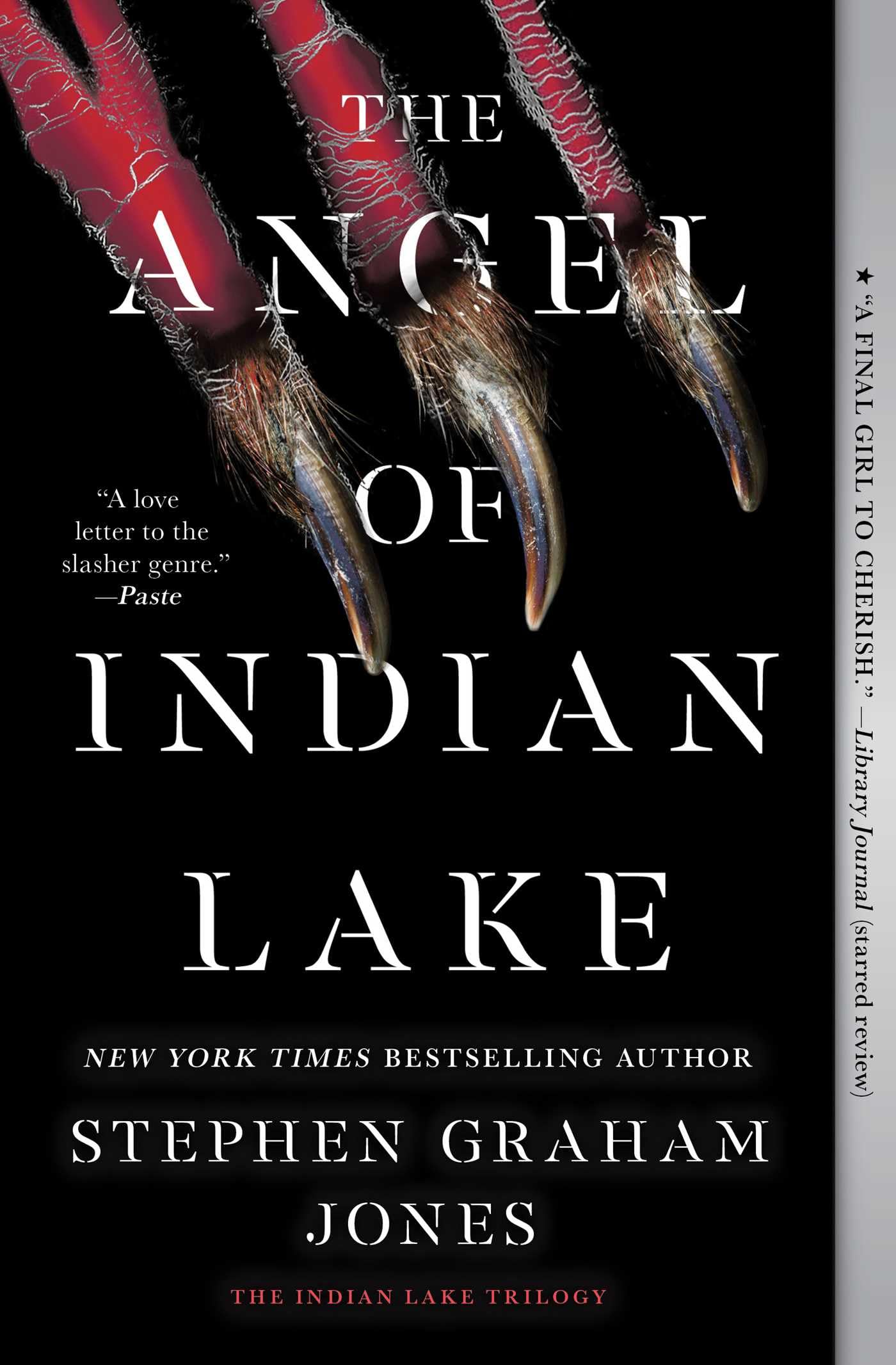 The Angel of Indian Lake Horror & Mystery