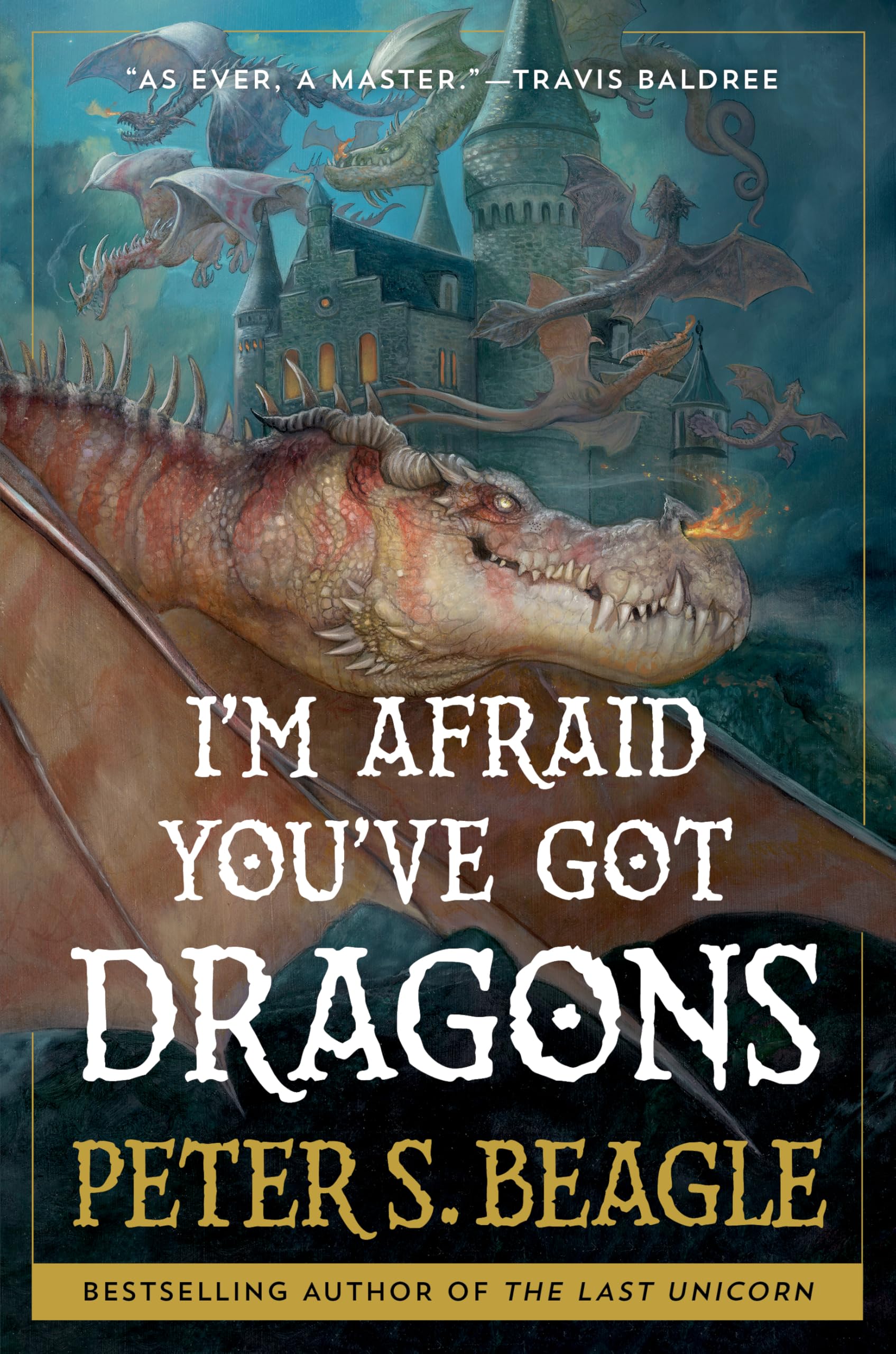 Product Image: I'm Afraid You've Got Dragons