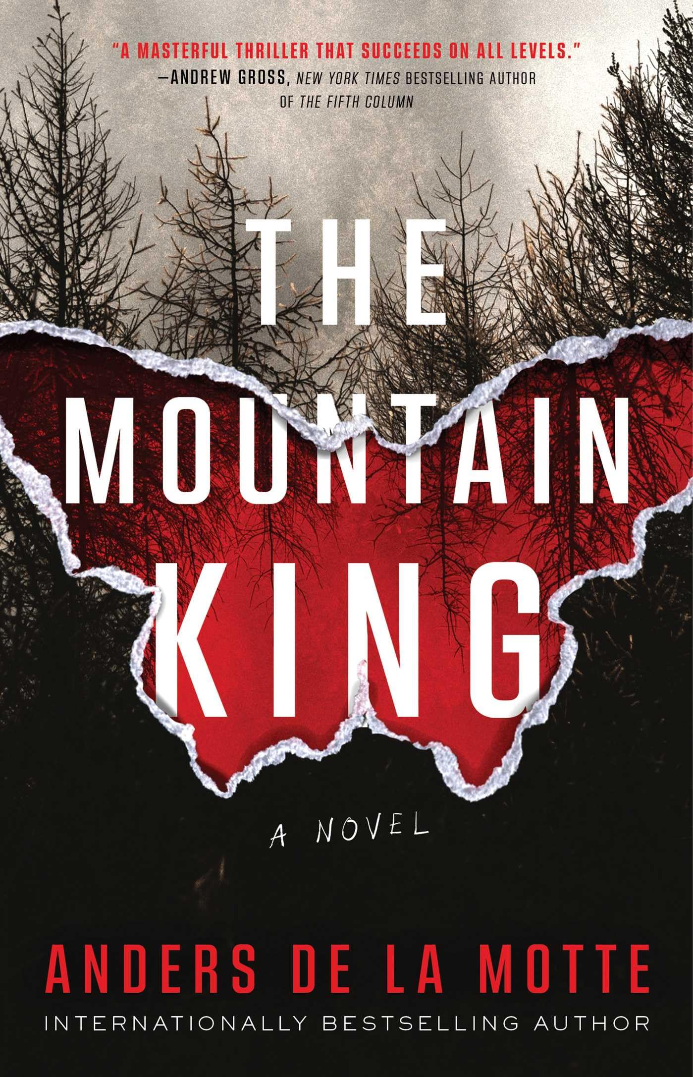 The Mountain King: A Novel (The Asker Series, Band 1) Contemporary literature