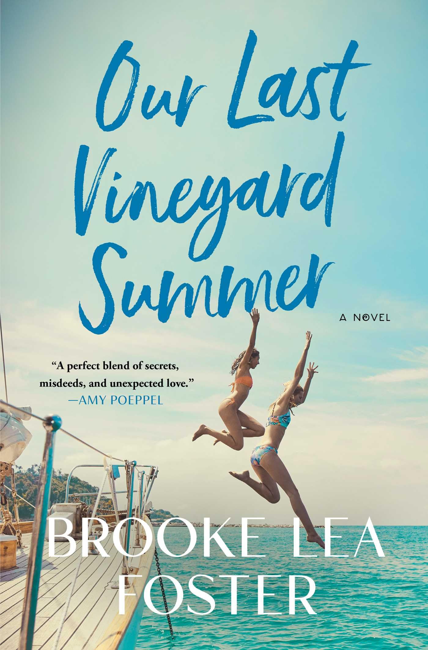 Our Last Vineyard Summer: A Novel Historical Fiction