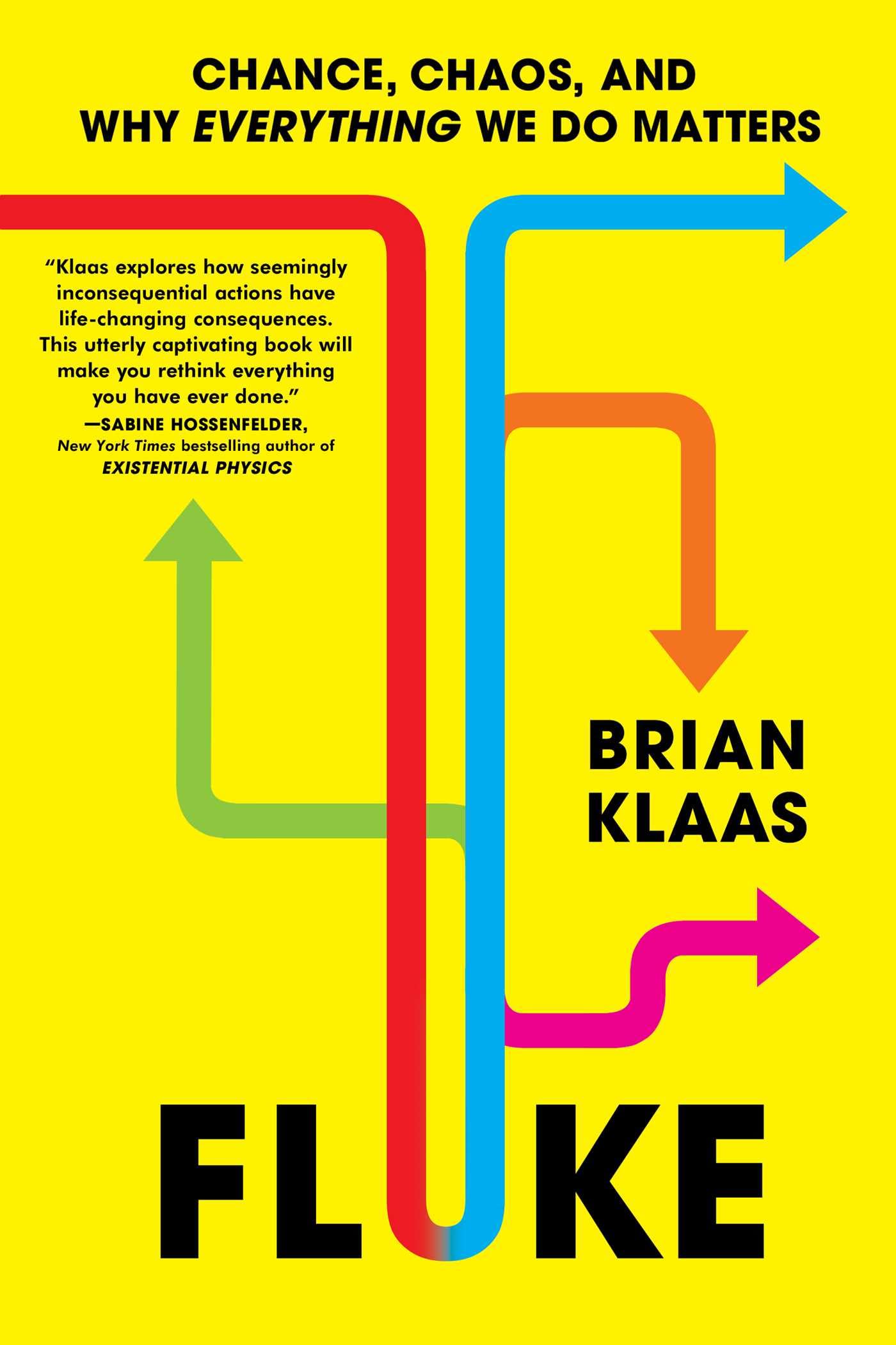 Fluke: Chance, Chaos, and Why Everything We Do Matters Business, Finance & Career