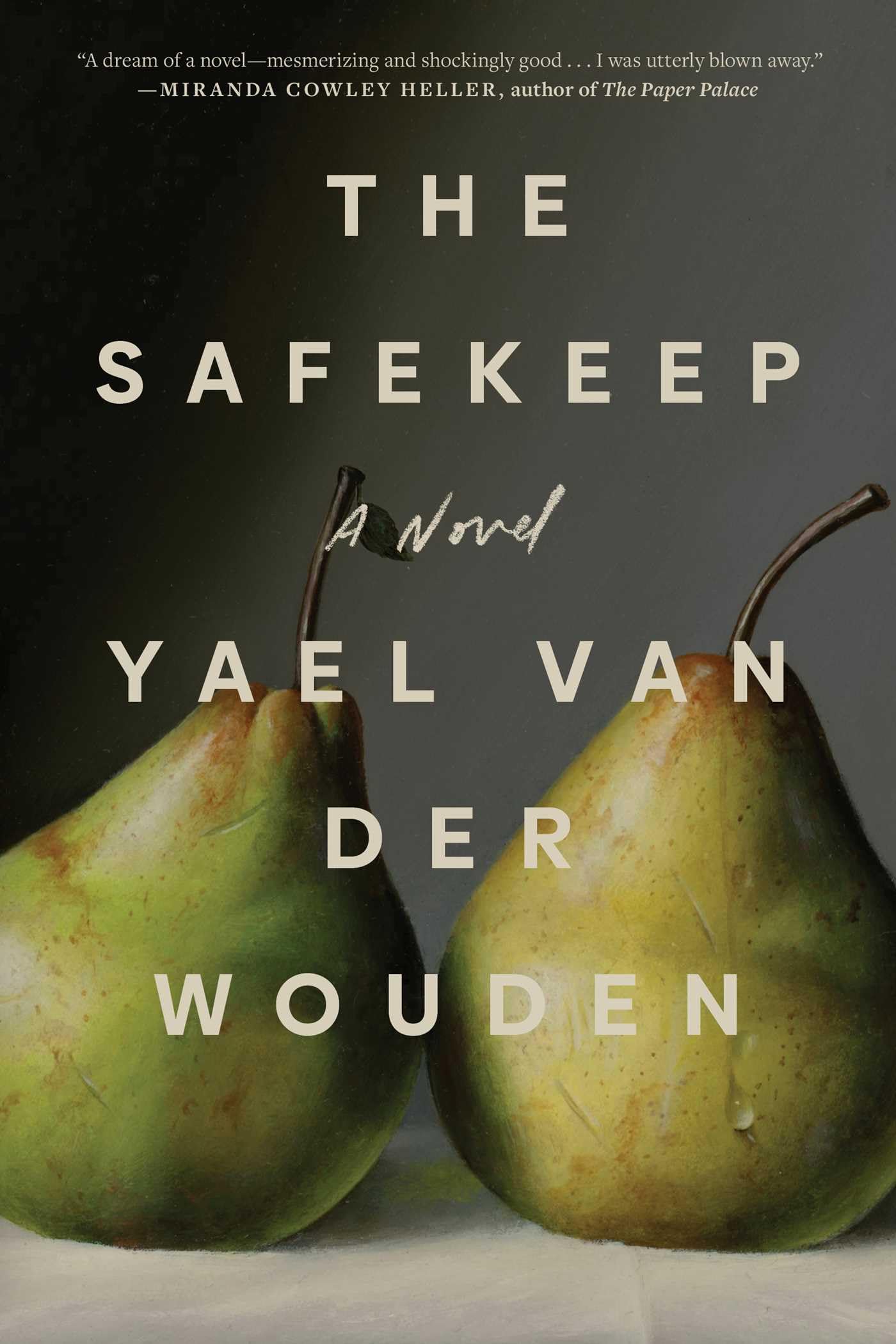 The Safekeep Contemporary literature Books