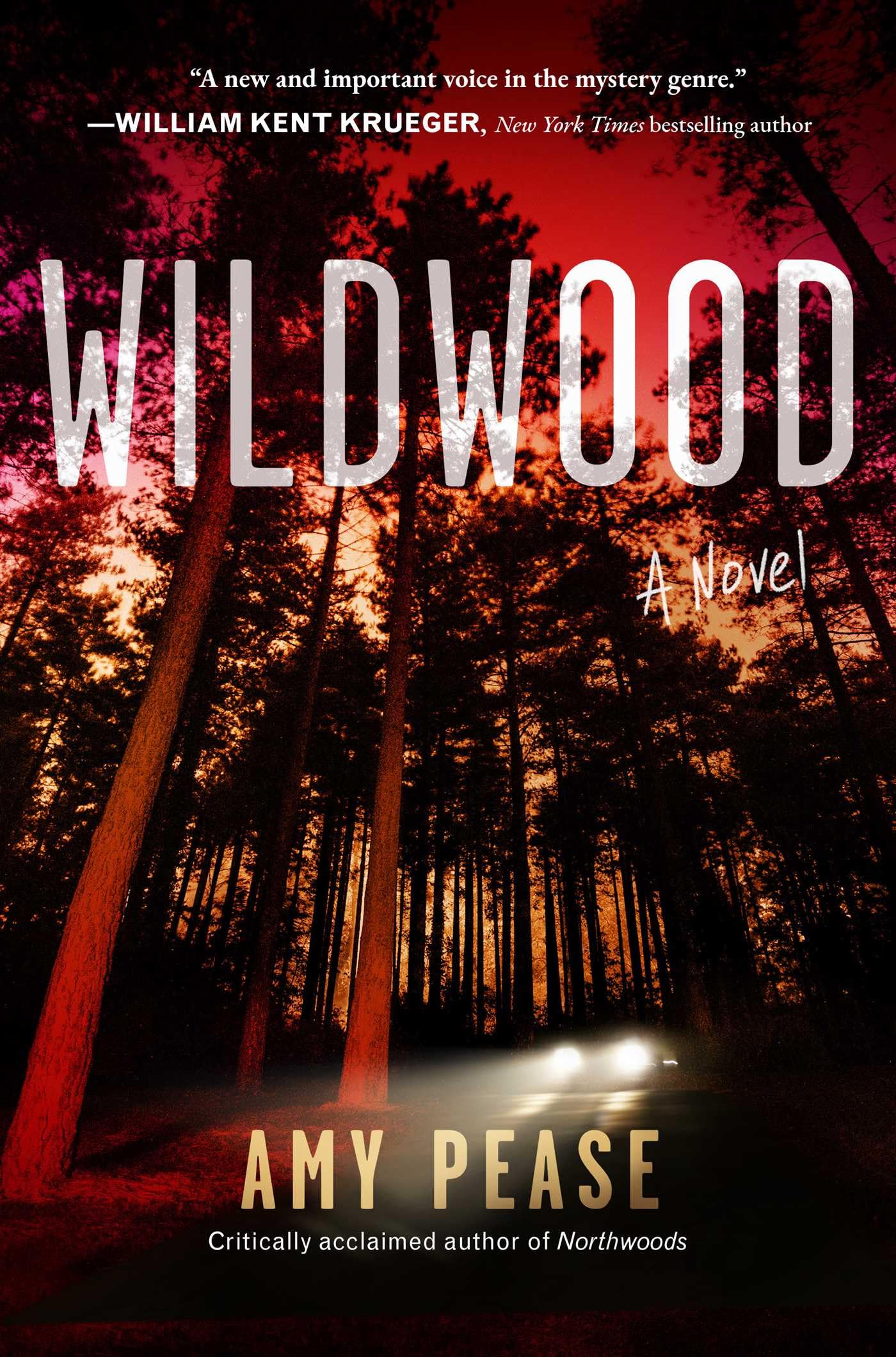 Wildwood: A Novel (Volume 2) (Northwoods) Contemporary literature