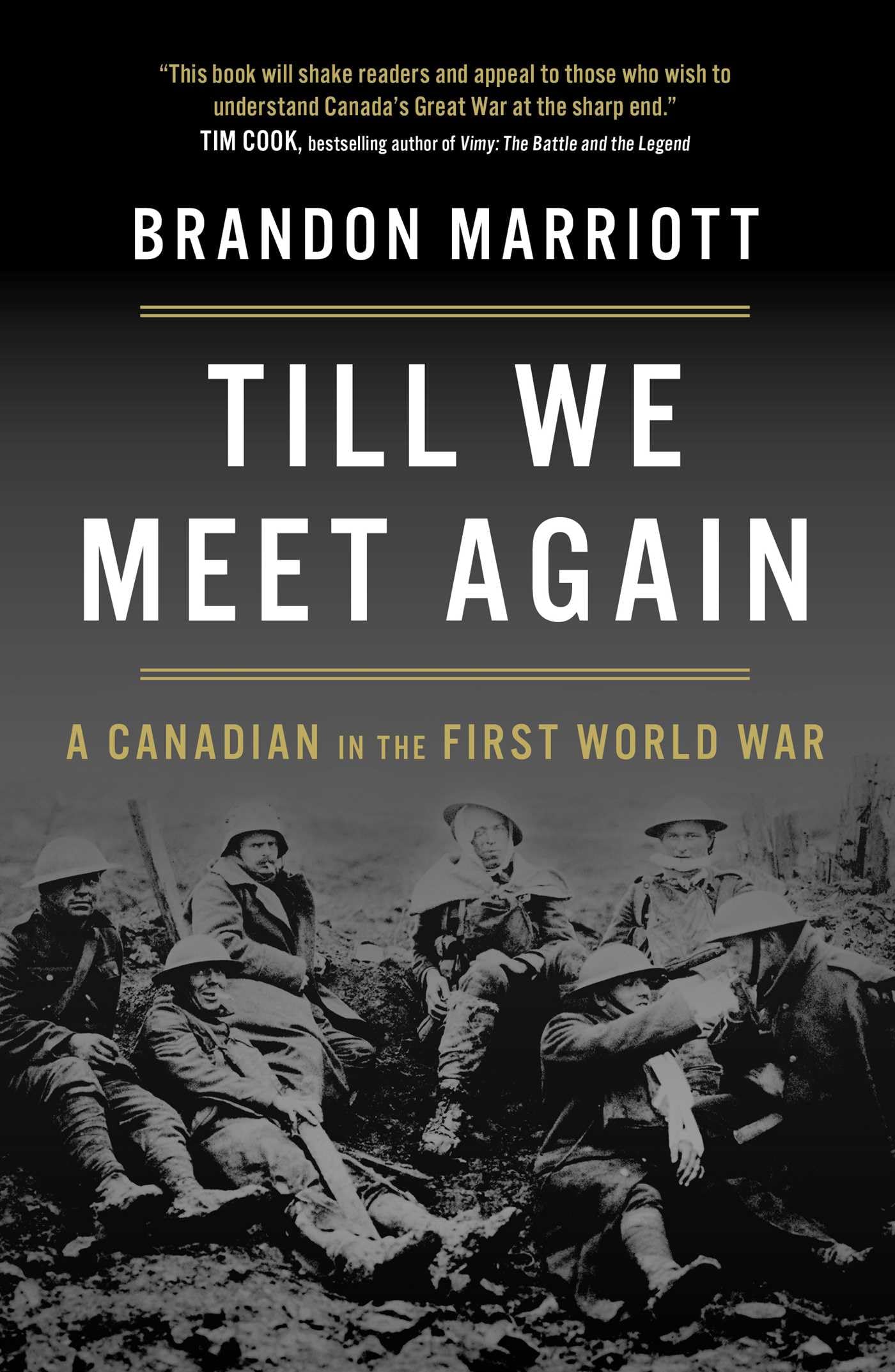 Till We Meet Again: A Canadian in the First World War Biographies & Memoirs