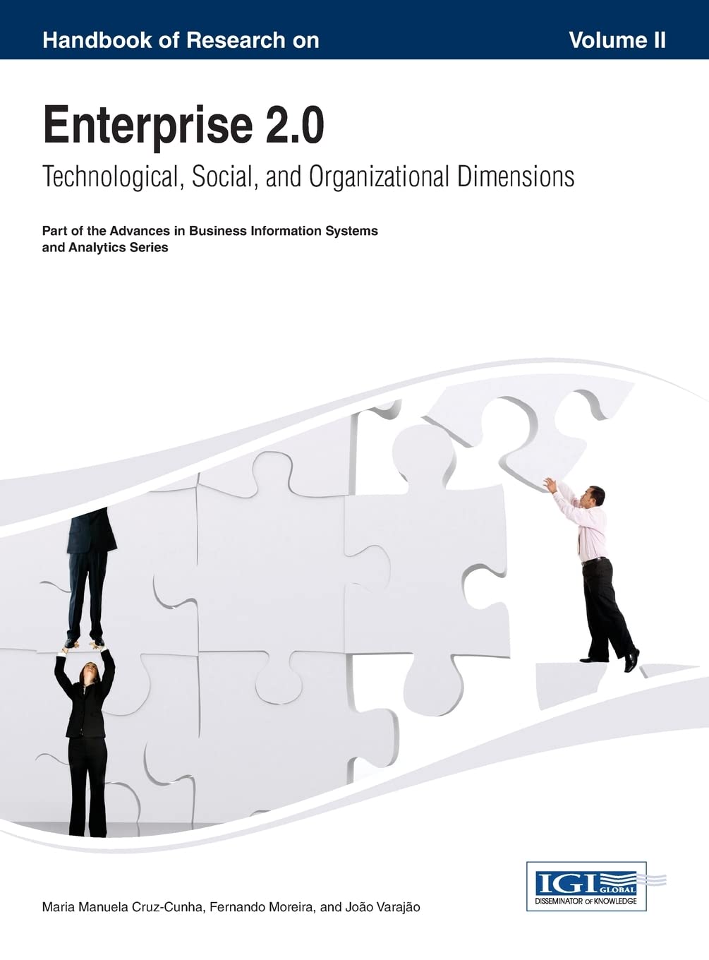 Handbook of Research on Enterprise 2.0: Technological, Social, and Organizational Dimensions Vol 2 Books