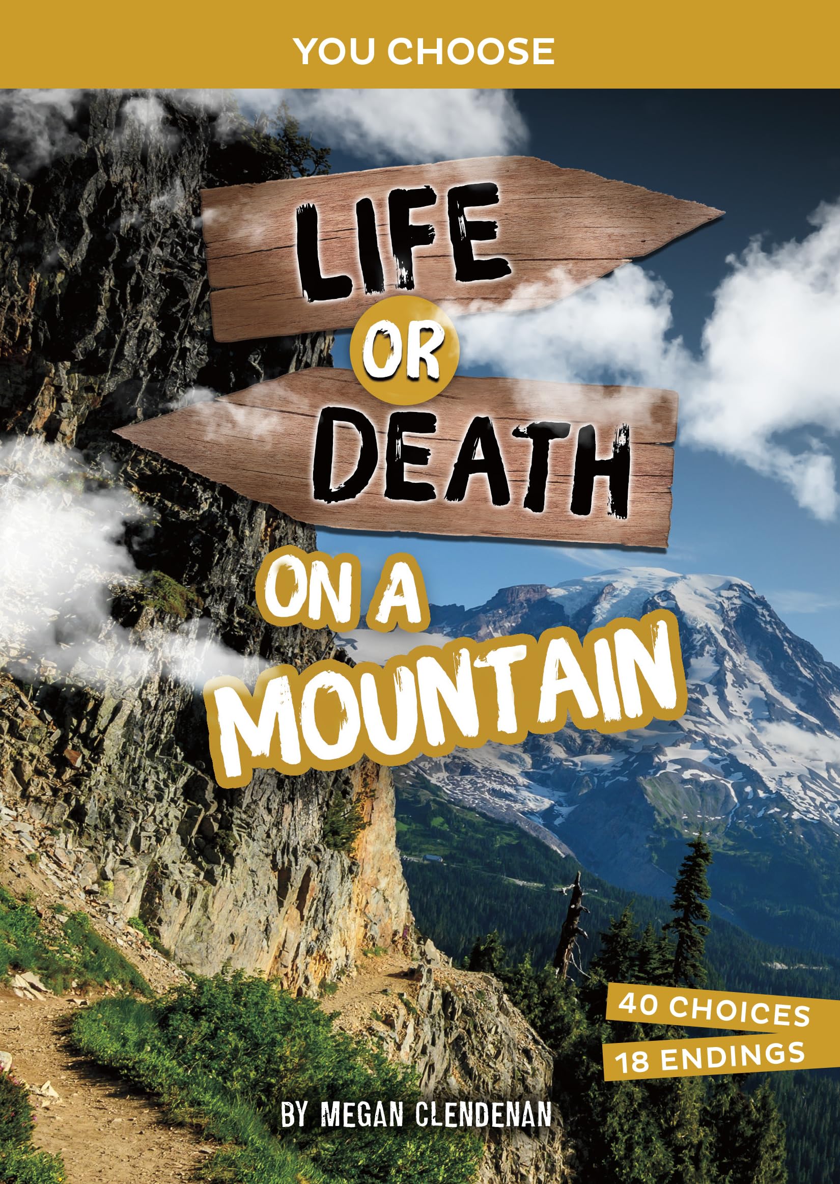 Life or Death on a Mountain: An Interactive Survival Adventure (You Choose: Lost!) Leisure & Fun